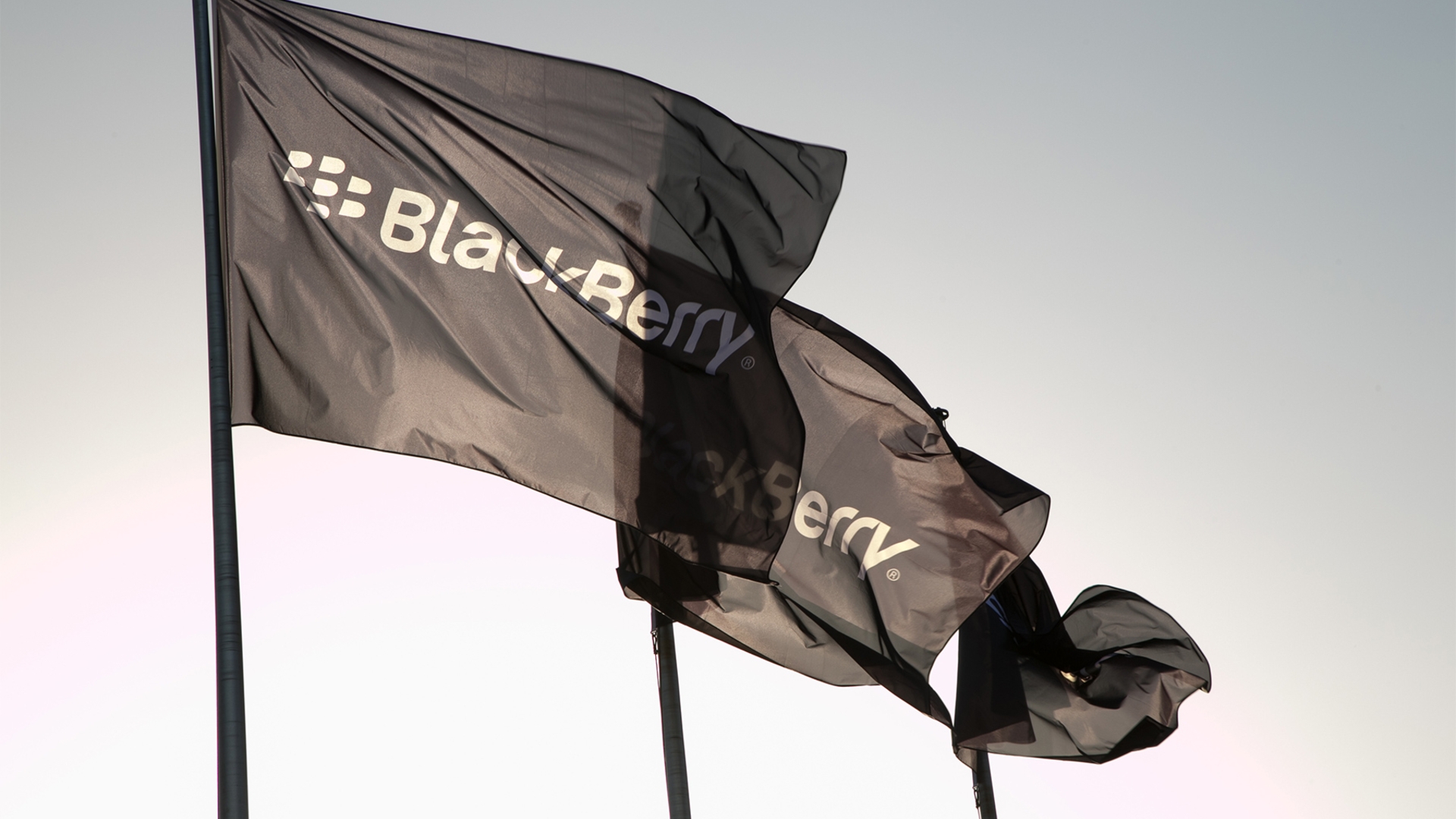 Blackberry Blackberry