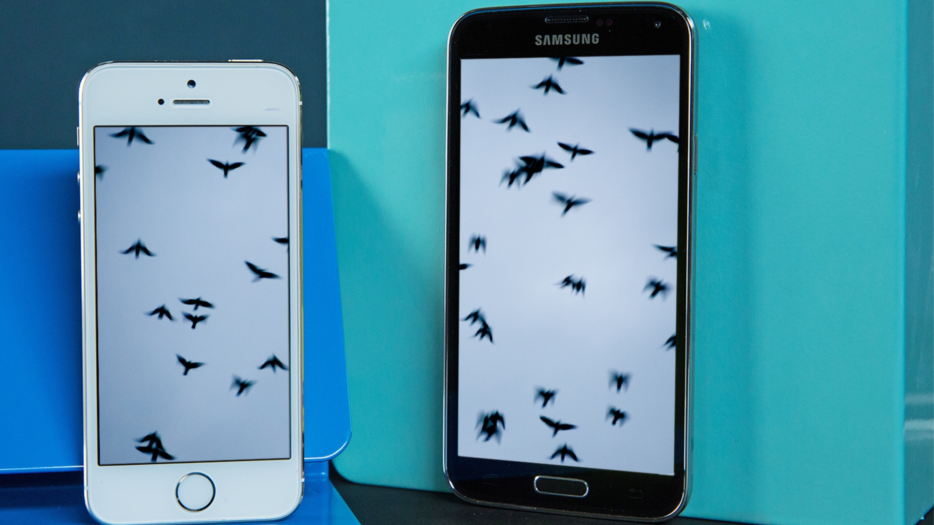Twitter-GIFs Twitter-GIFs