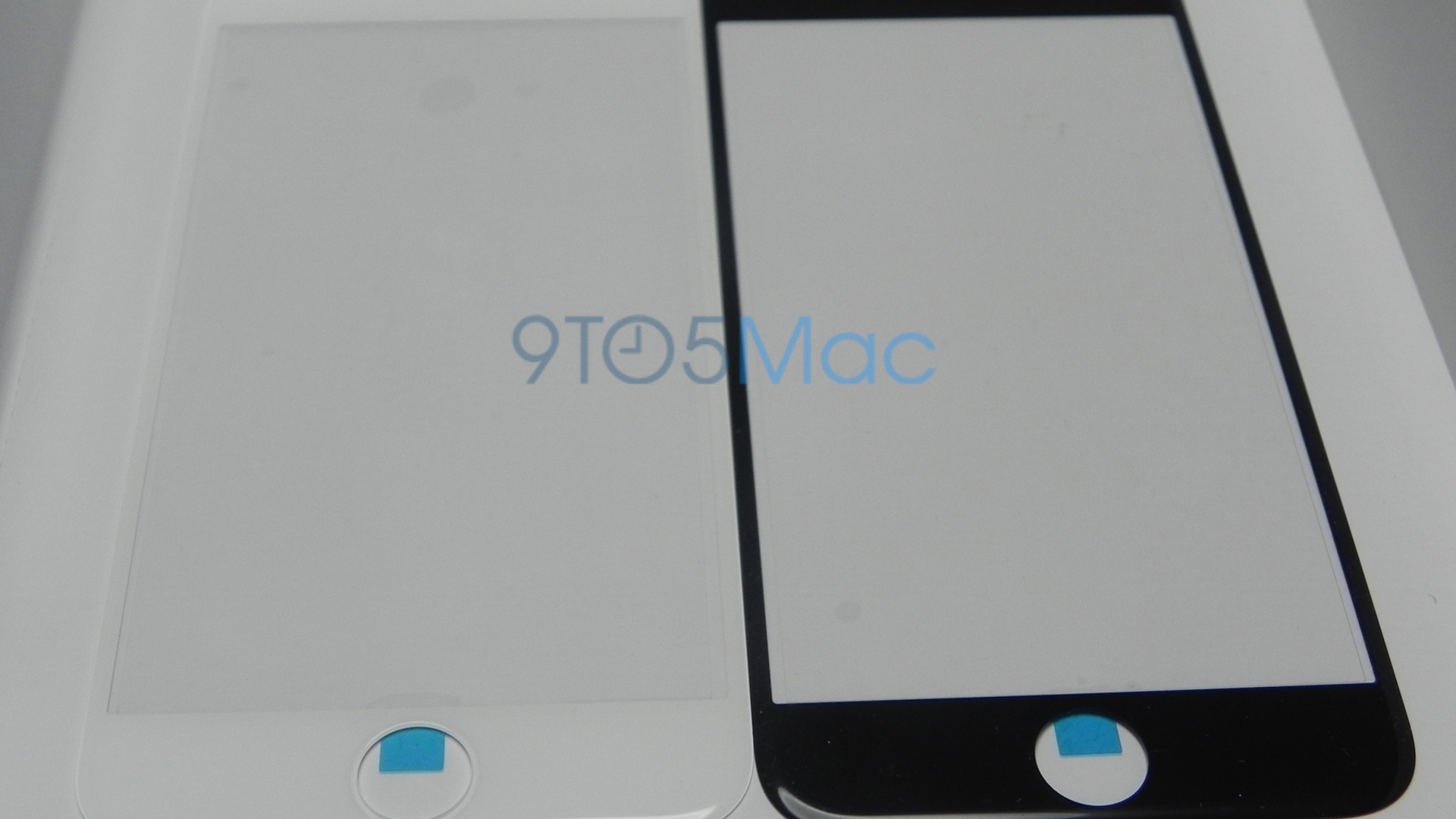 Das sollen keine Dummys, sondern tatsächliche Front-Panels aus der iPhone 6-Produktion sein Das sollen keine Dummys, sondern tatsächliche Front-Panels aus der iPhone 6-Produktion sein