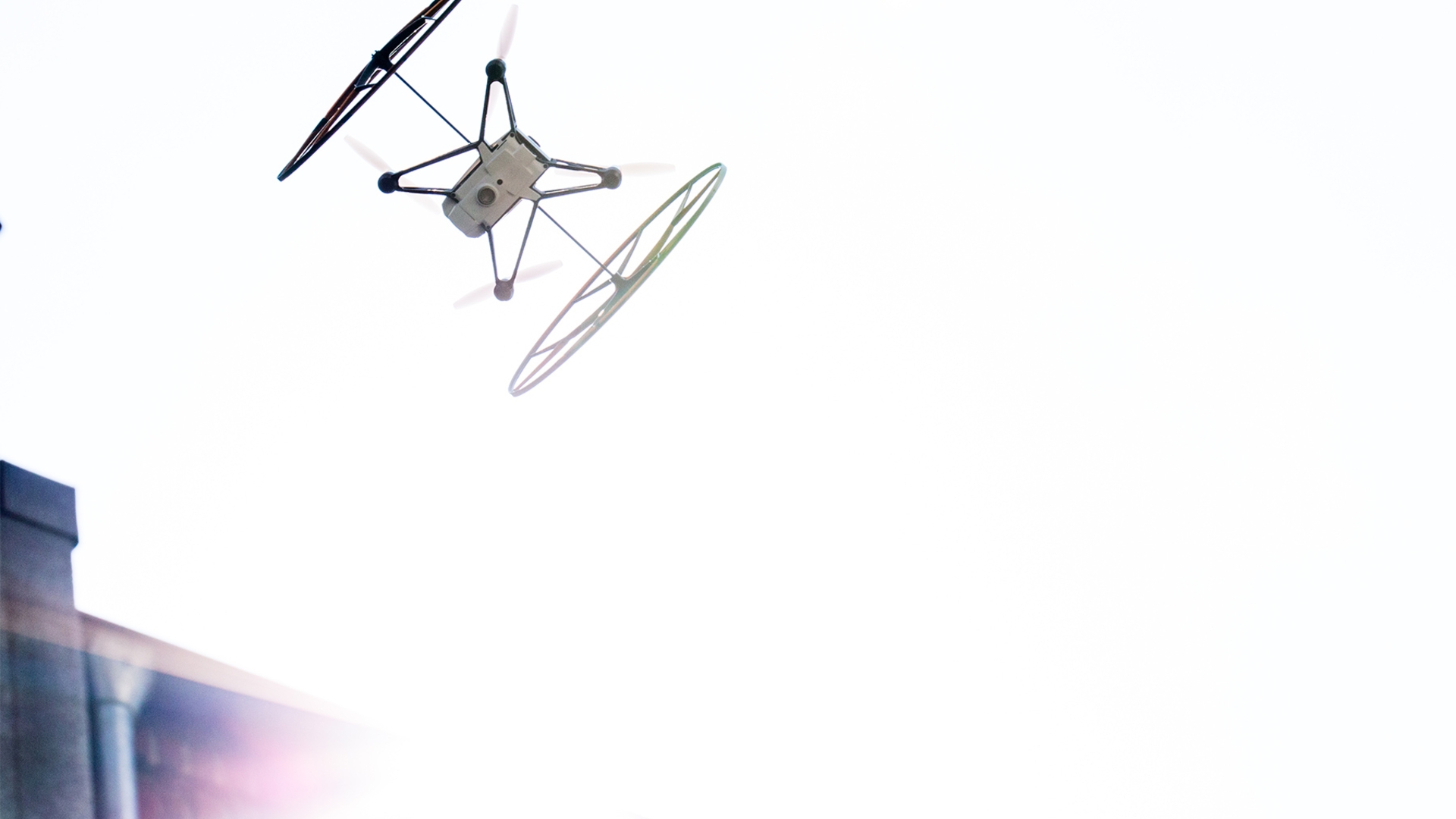 Parrot Rolling Spider Parrot Rolling Spider