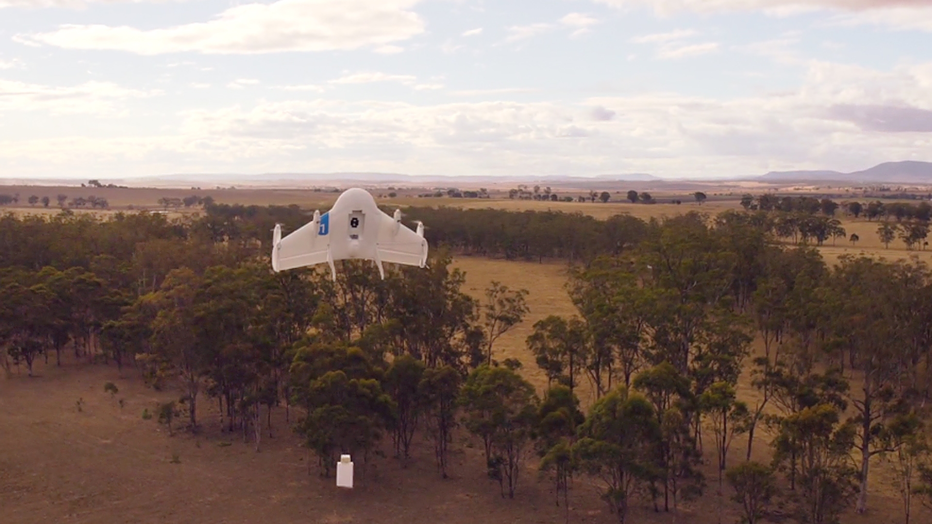 Project Wings Project Wings