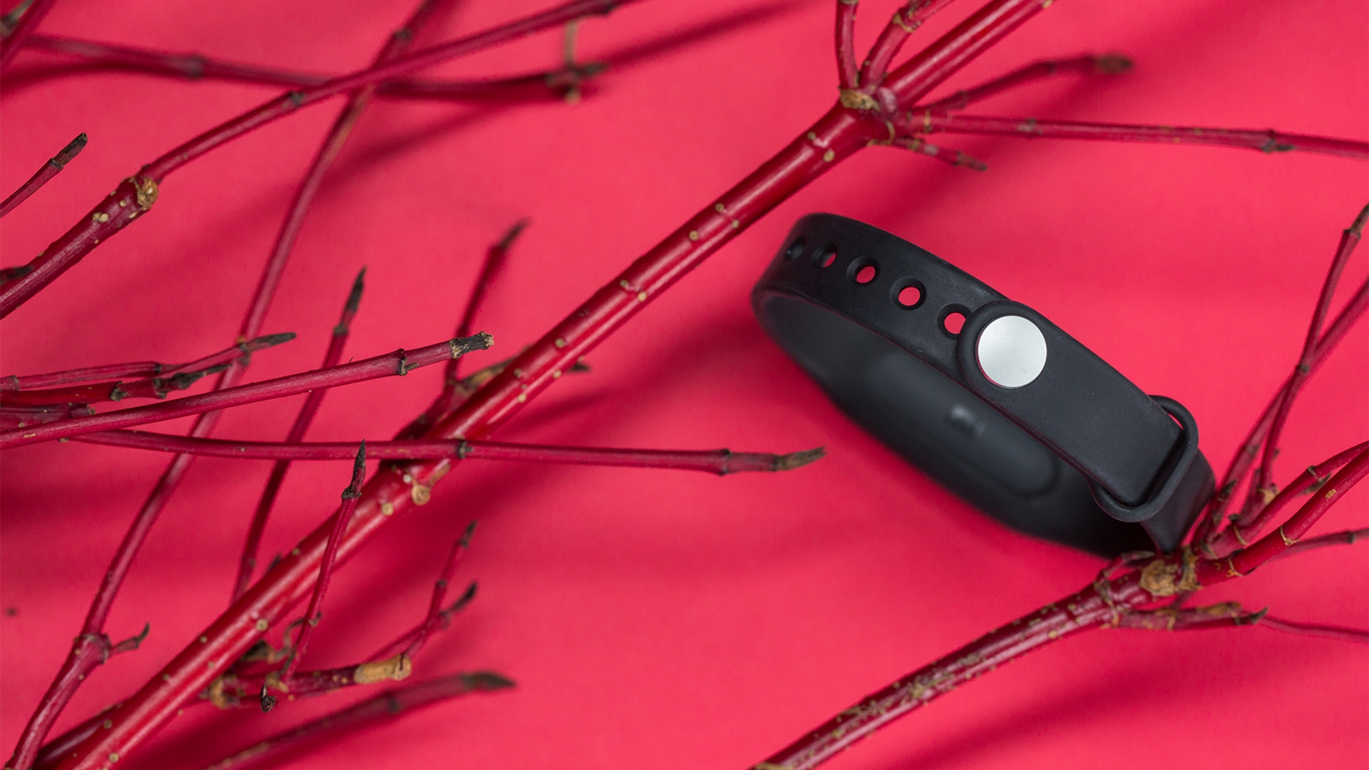 Xiaomi MiBand Xiaomi MiBand