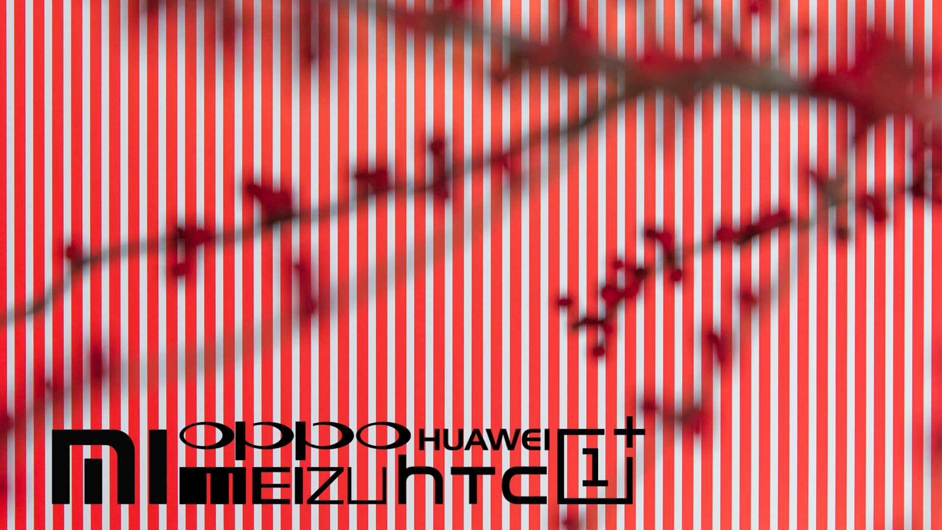 Rückblick 2014 China Rückblick 2014 China