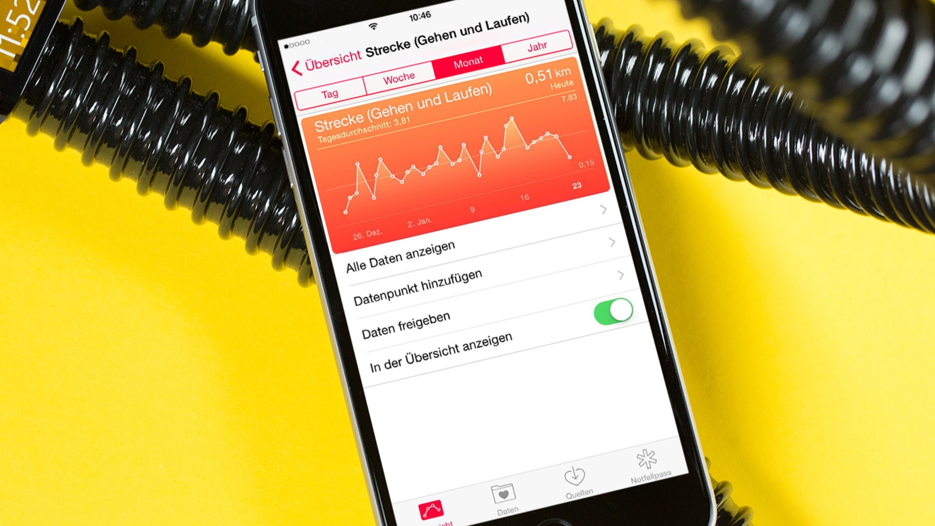 Apple Health Übersicht STrecke Apple Health Übersicht STrecke