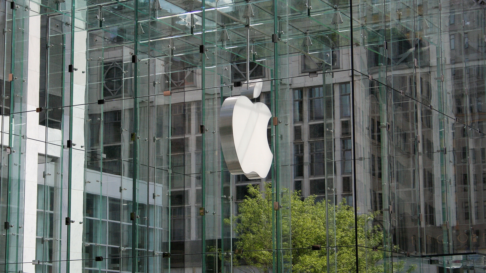 Apple Store Apple Store