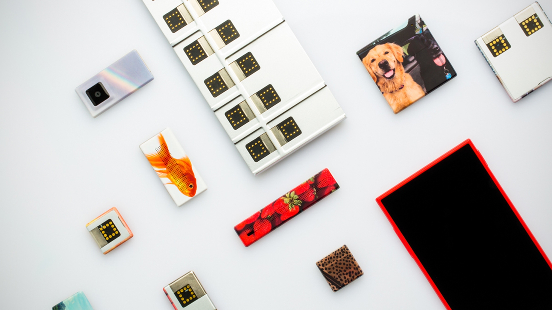 Project Ara