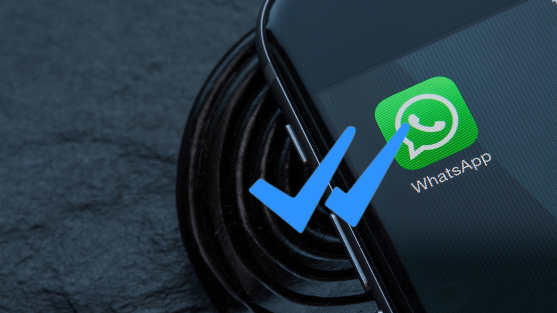 WhatsApp WhatsApp