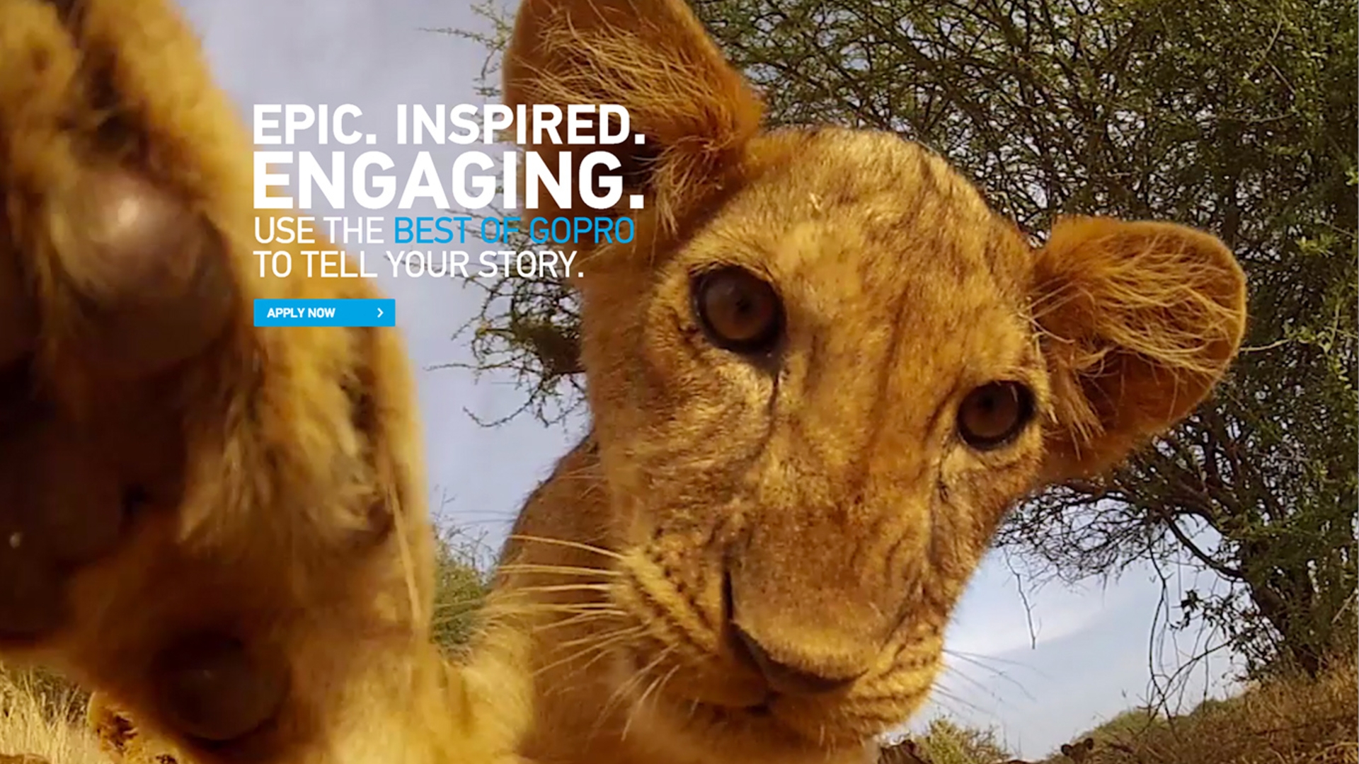 GoPro Licensing GoPro Licensing