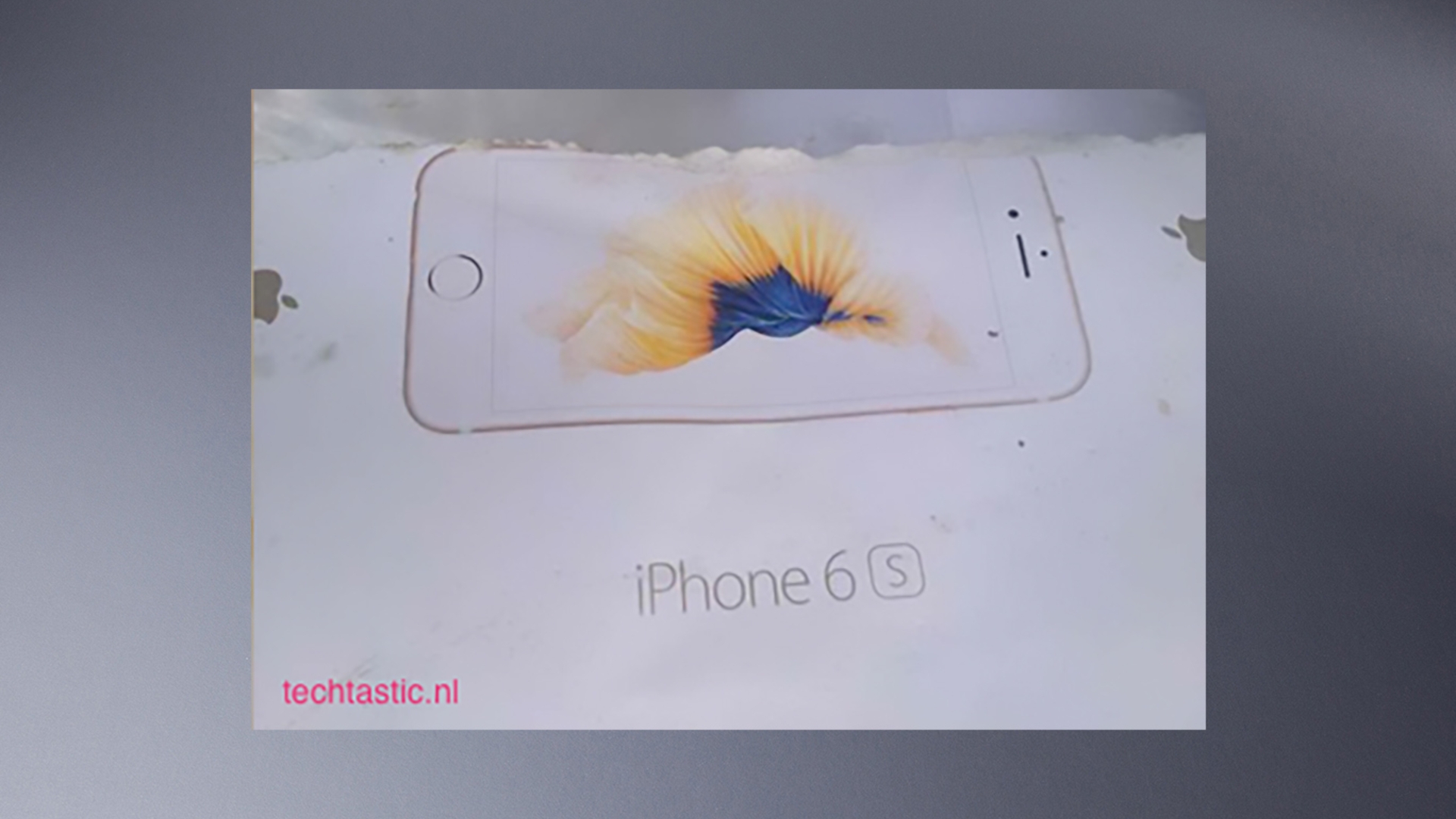 Apple-iPhone-6s-Verpackung-Leak Apple-iPhone-6s-Verpackung-Leak