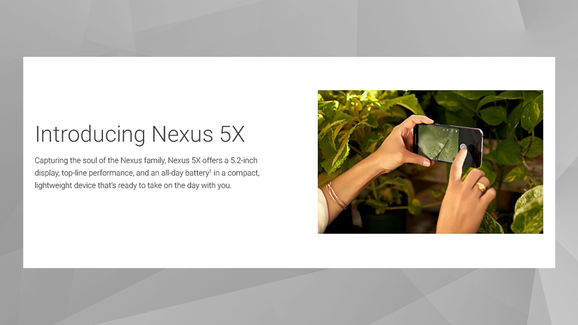 Nexus 5X Leak Nexus 5X Leak