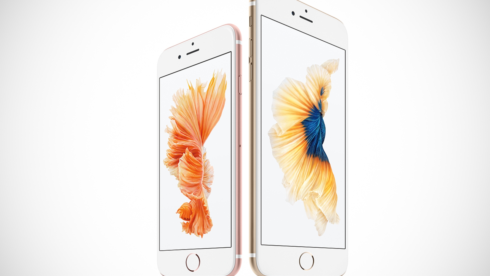 iPhone 6s und iPhone 6s Plus