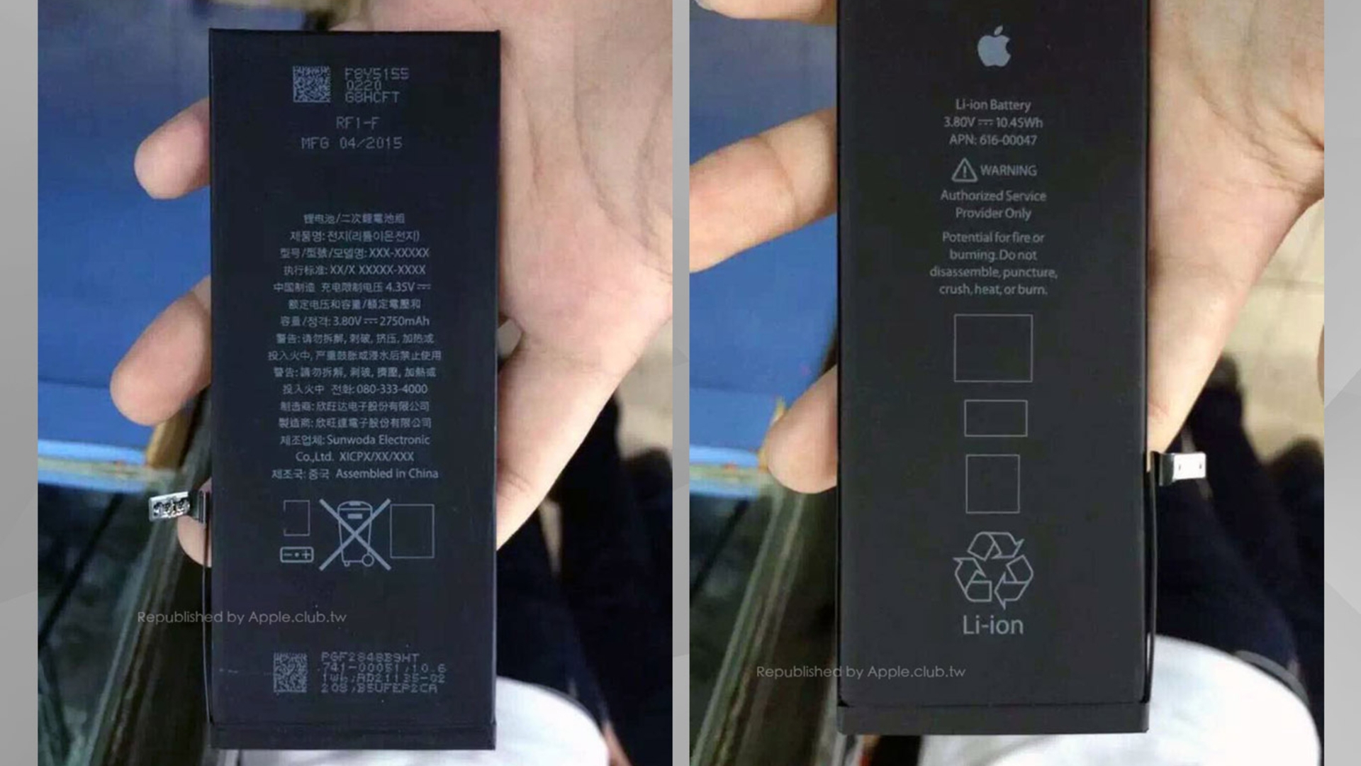 iPhone 6s Plus Akku iPhone 6s Plus Akku