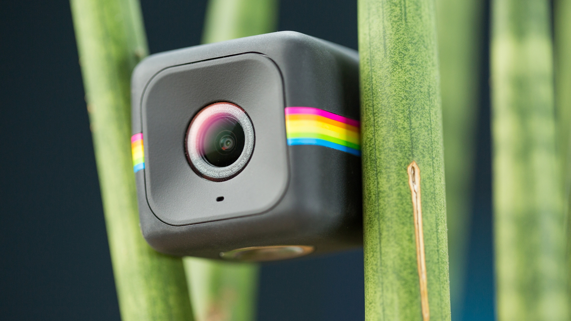 Polaroid Cube+ im Test: der WLAN-Video-Würfel - CURVED.de