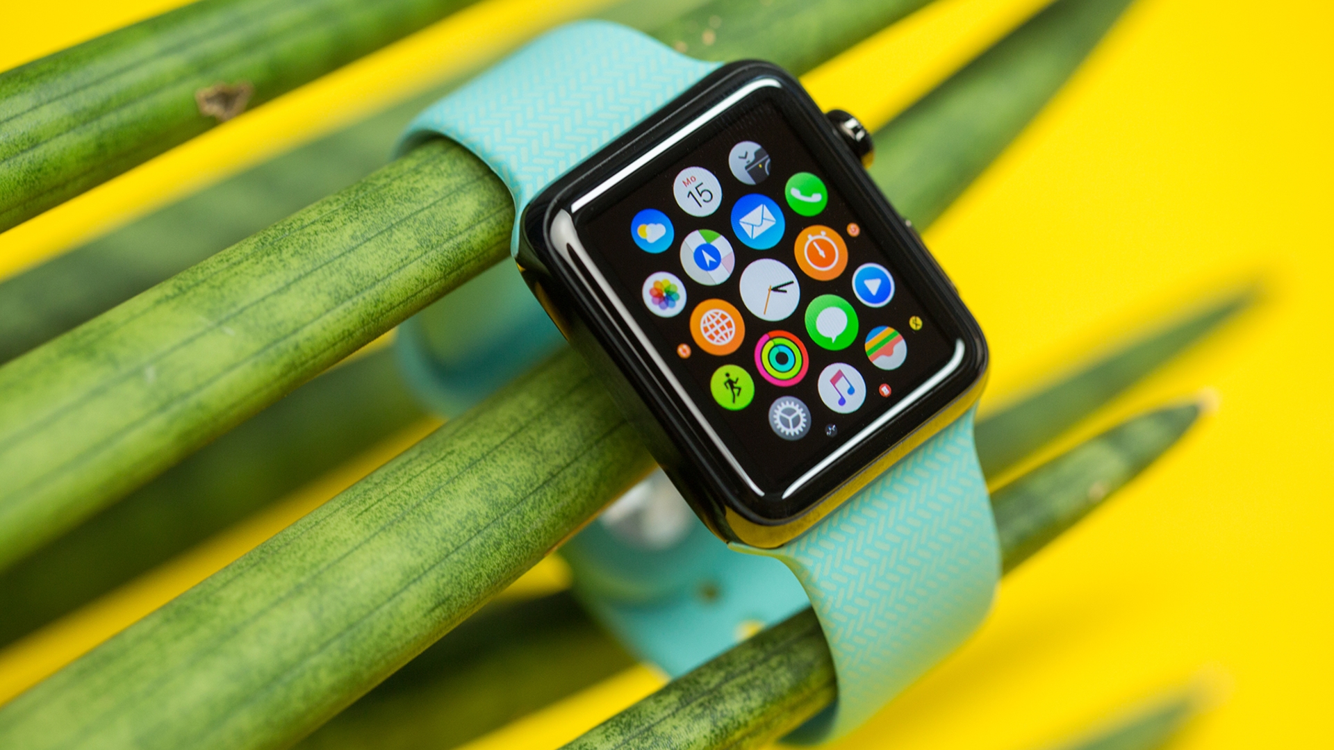 WRBLS bringt Abwechslung ans Handgelenk WRBLS bringt Abwechslung ans Handgelenk