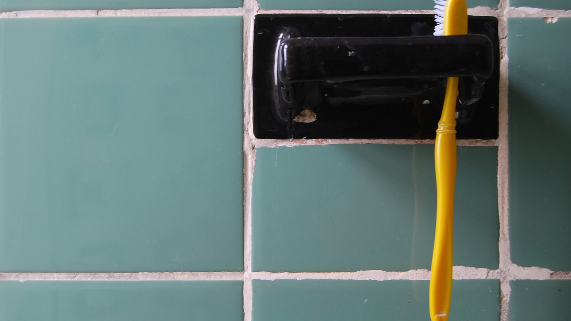 Zahnbürste Zahnbürste