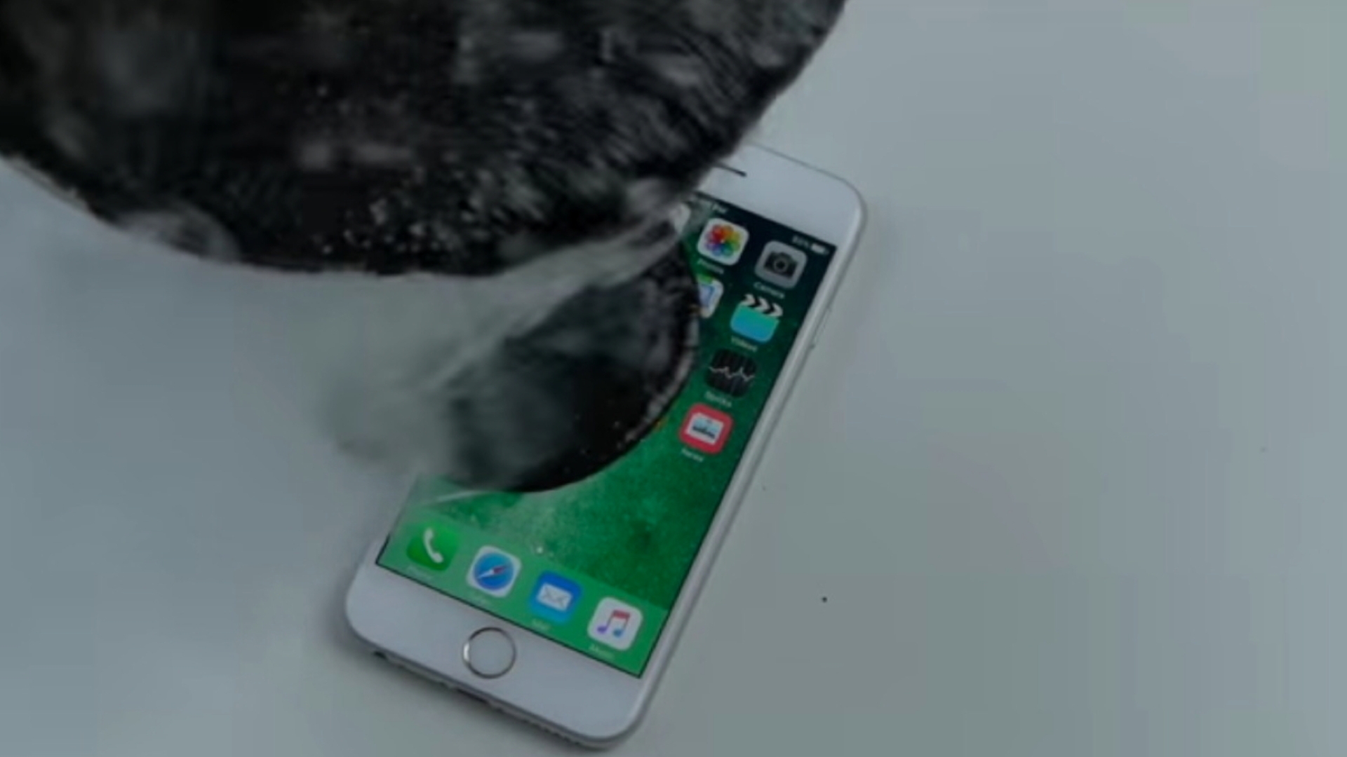 iPhone 6s Teer Techrax iPhone 6s Teer Techrax