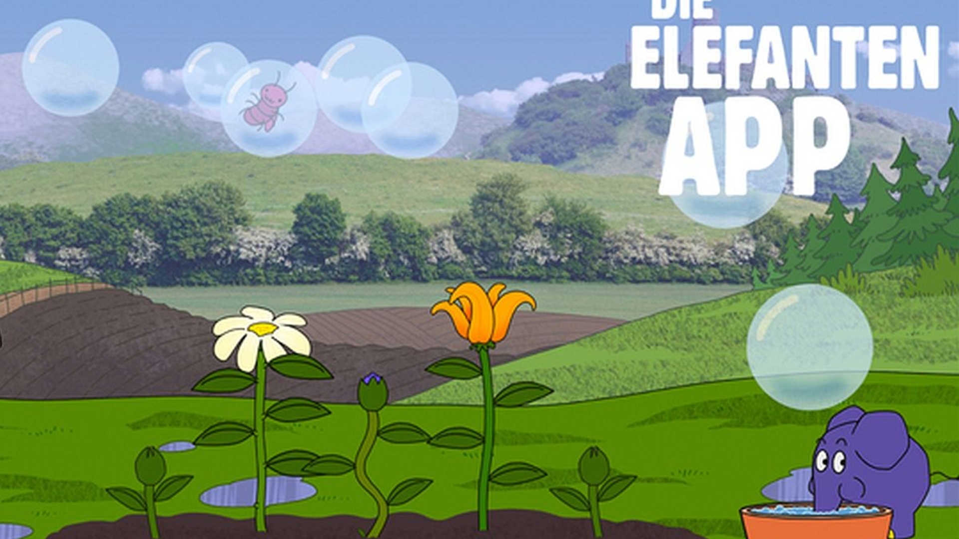 DerElefant DerElefant