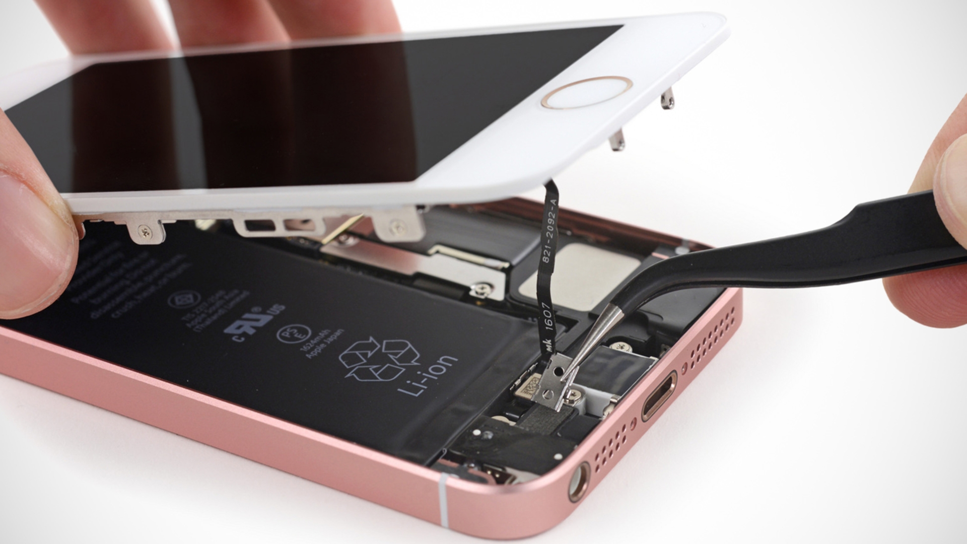 iPhone SE Teardown