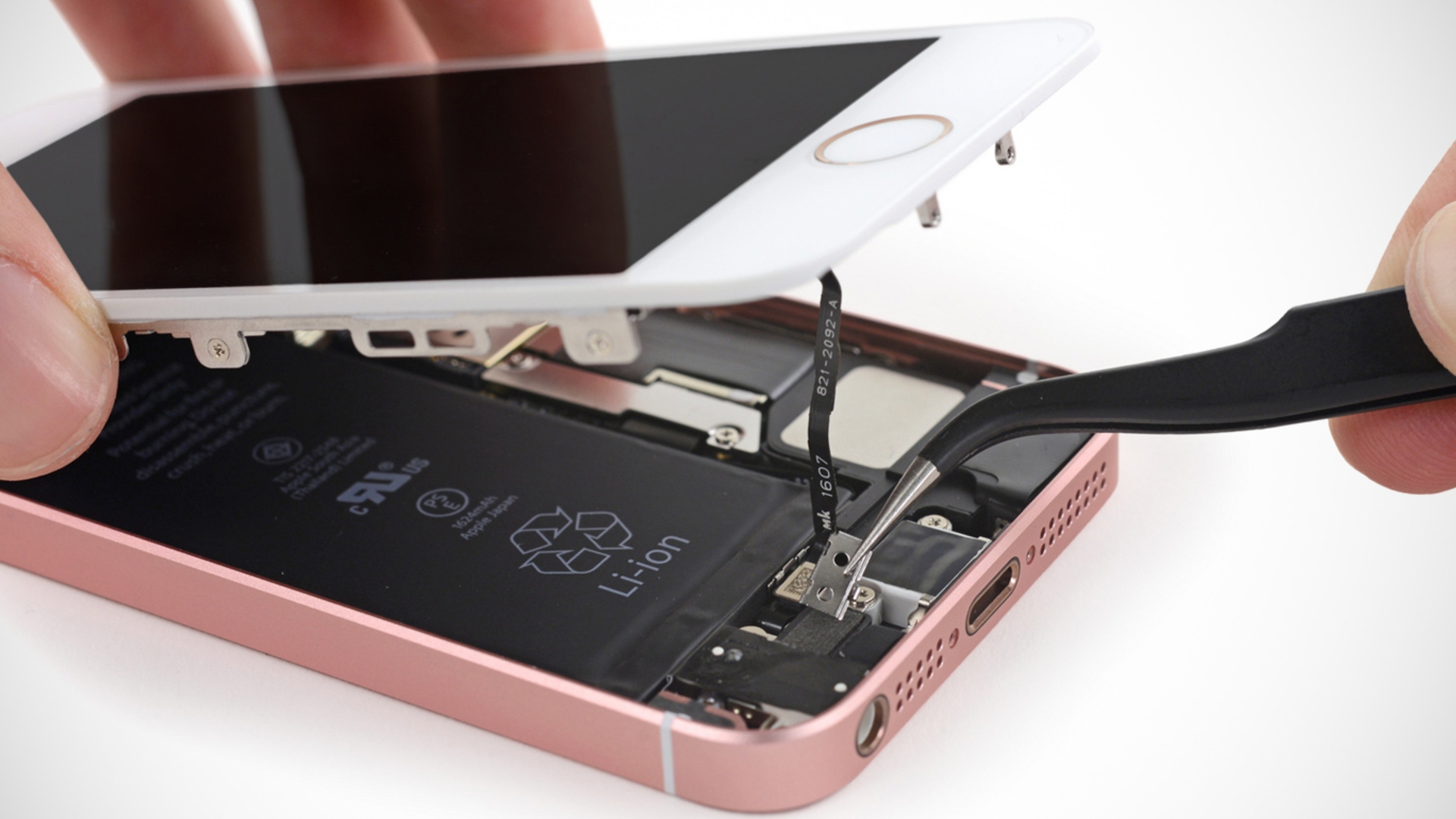 iPhone SE Teardown iPhone SE Teardown