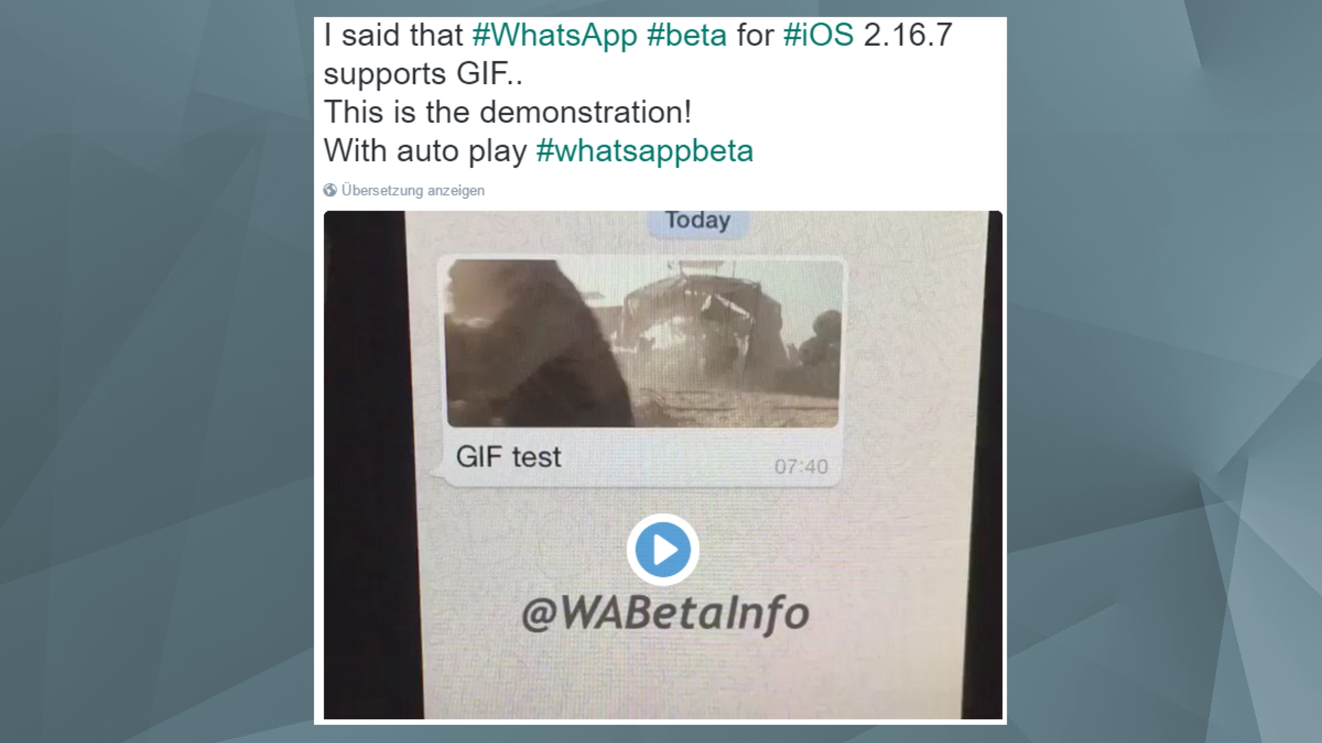 WhatsApp GIF Demo Twitter WAbetaInfo WhatsApp GIF Demo Twitter WAbetaInfo