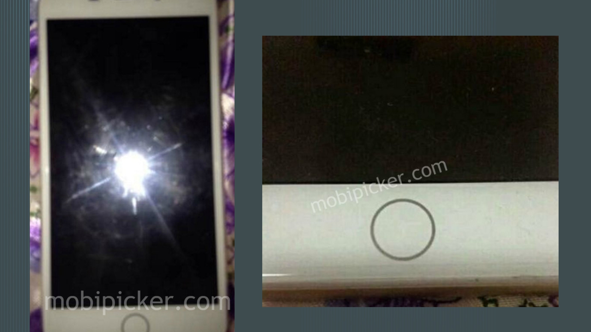 iPhone 7 Home Button Leak