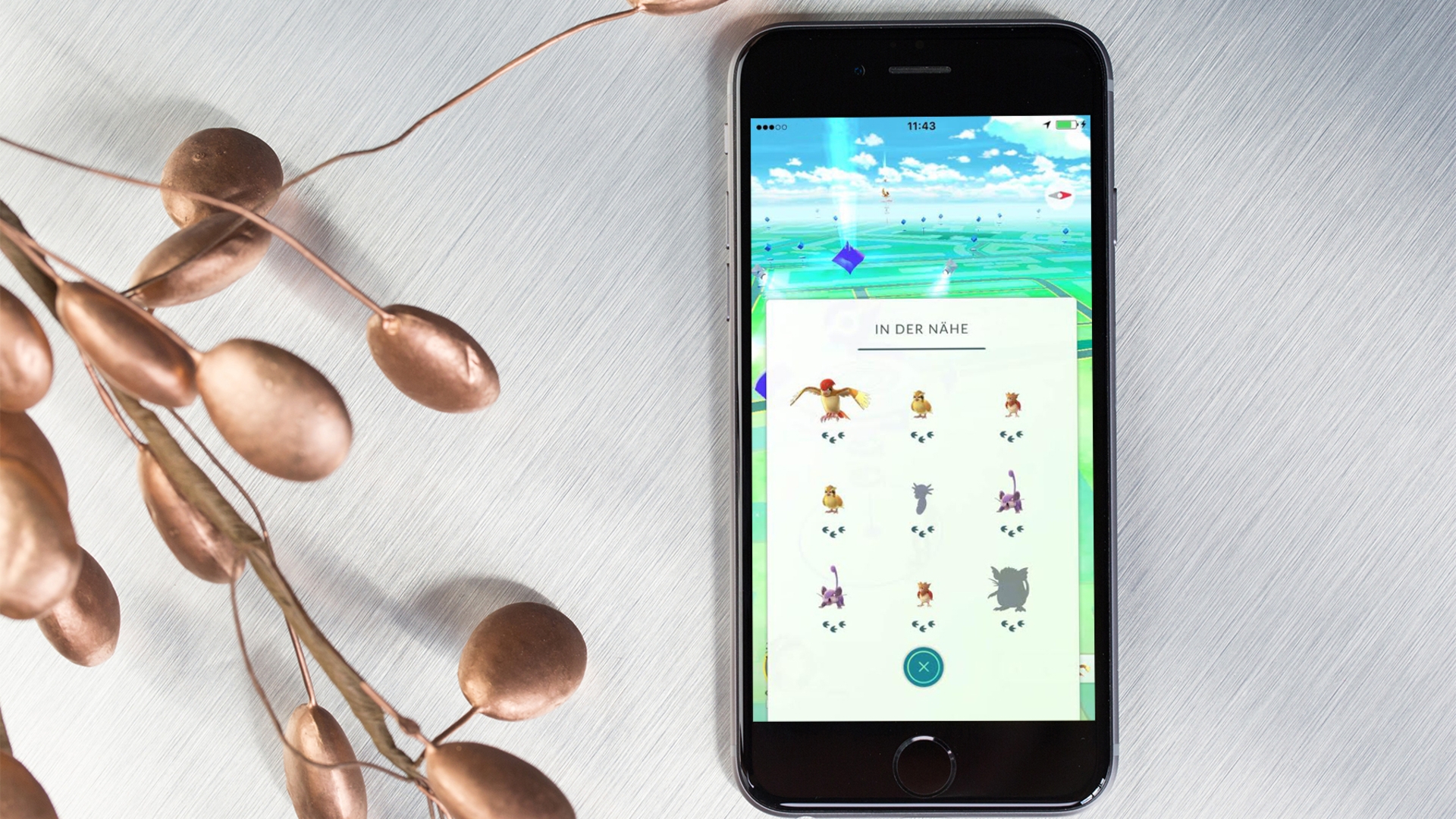 Pokémon GO Pokémon GO