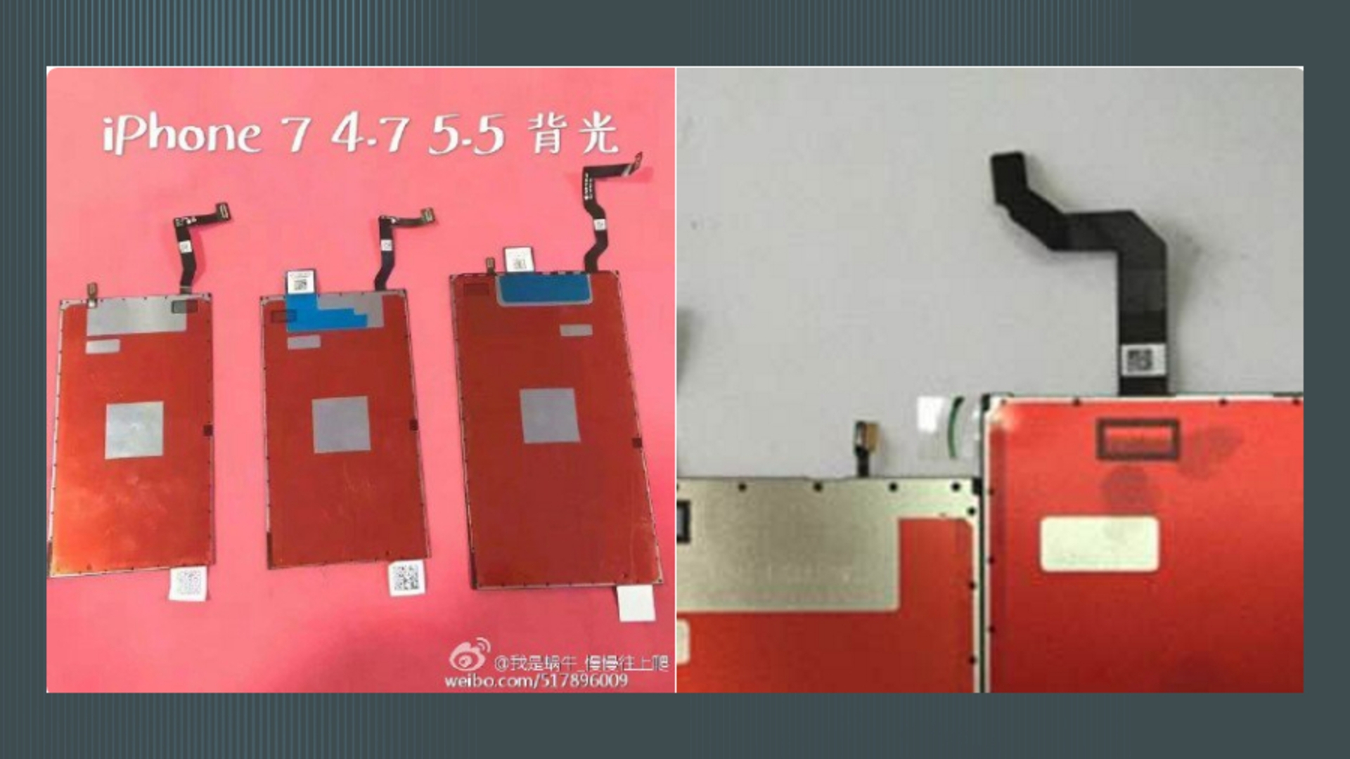 iPhone 7 6SE Display Leak Twitter The Malignant Weibo iPhone 7 6SE Display Leak Twitter The Malignant Weibo