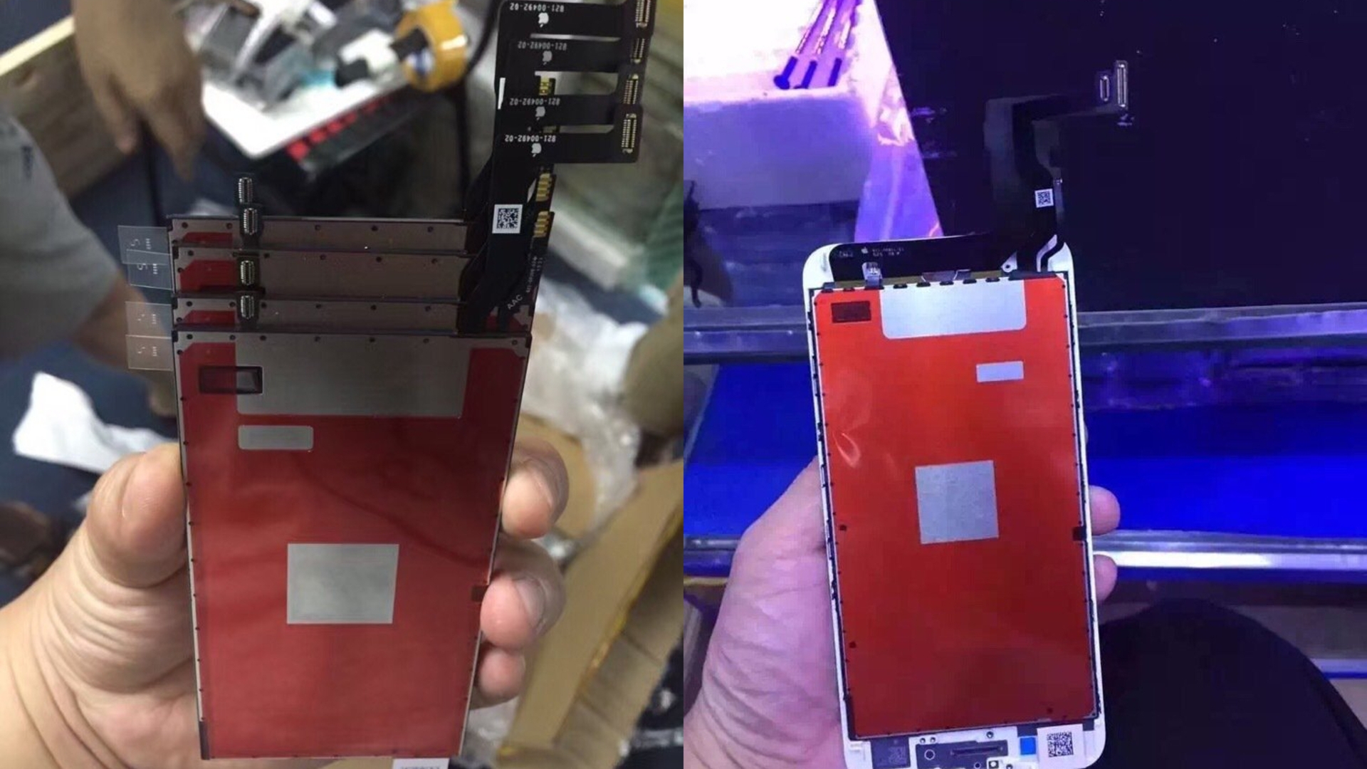 iPhone 7 Priceraja iPhone 7 Priceraja