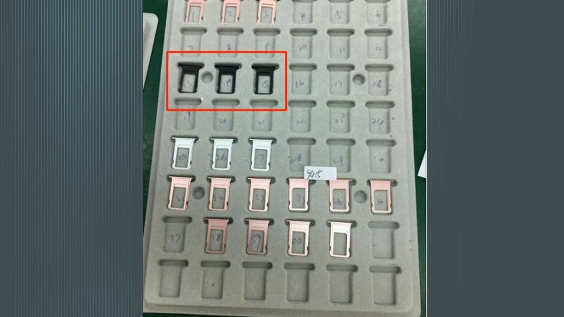 iphone7_leak_stevehemmersto iphone 7 apple leak steve hemmerstoffer