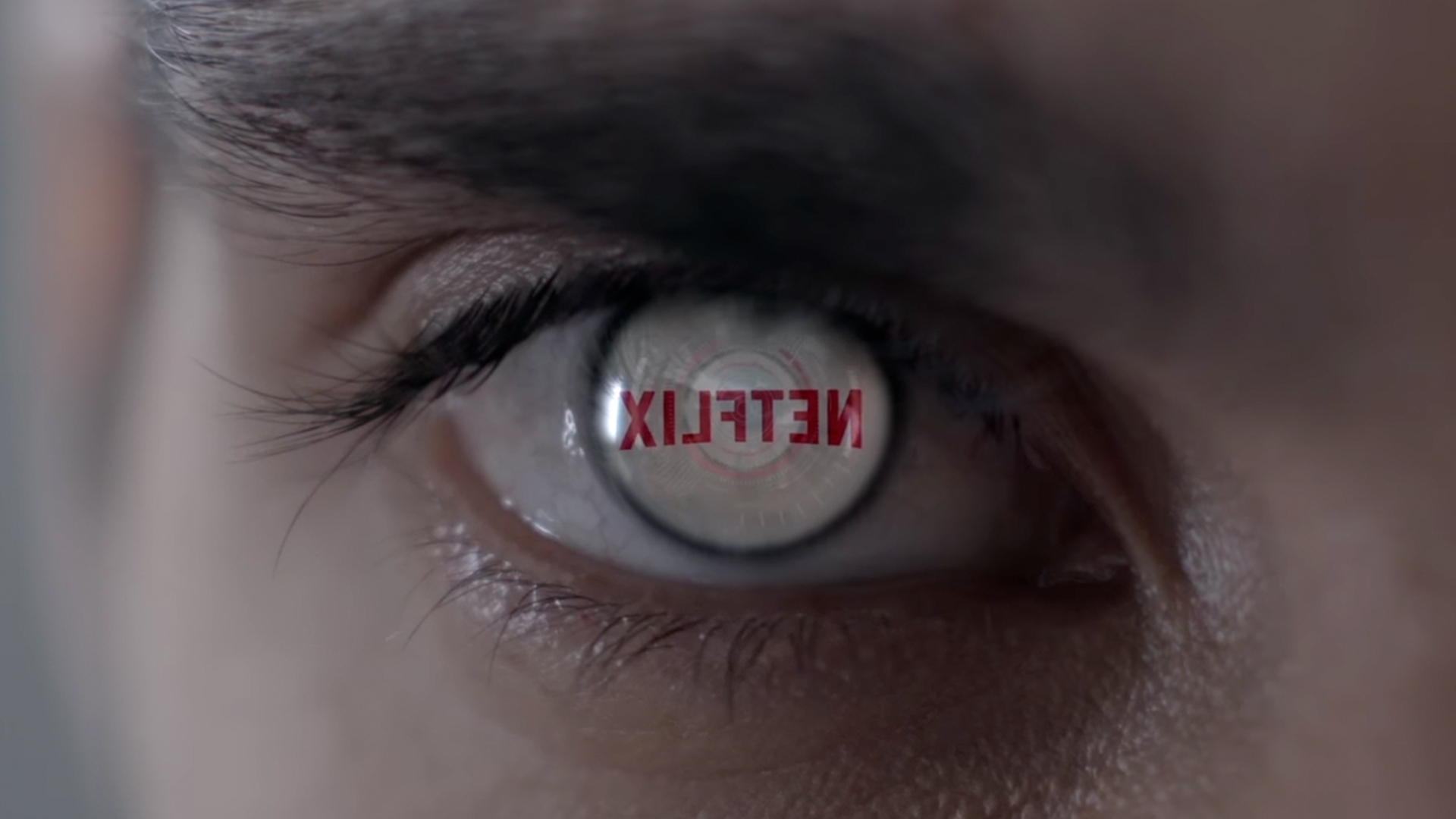 Netflix Vista Netflix Vista