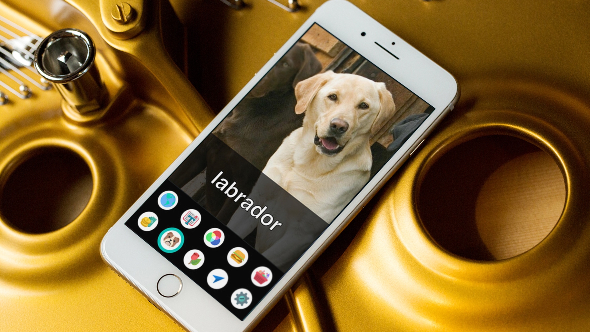 Aipoly Vision auf dem iPhone 7 Plus Aipoly Vision auf dem iPhone 7 Plus