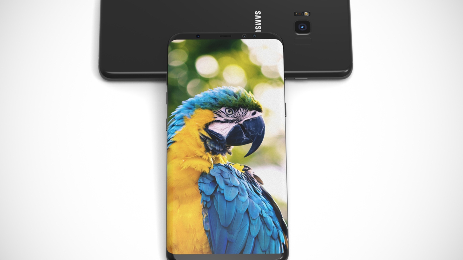 Samsung Galaxy S8 Konzept Samsung Galaxy S8 Konzept