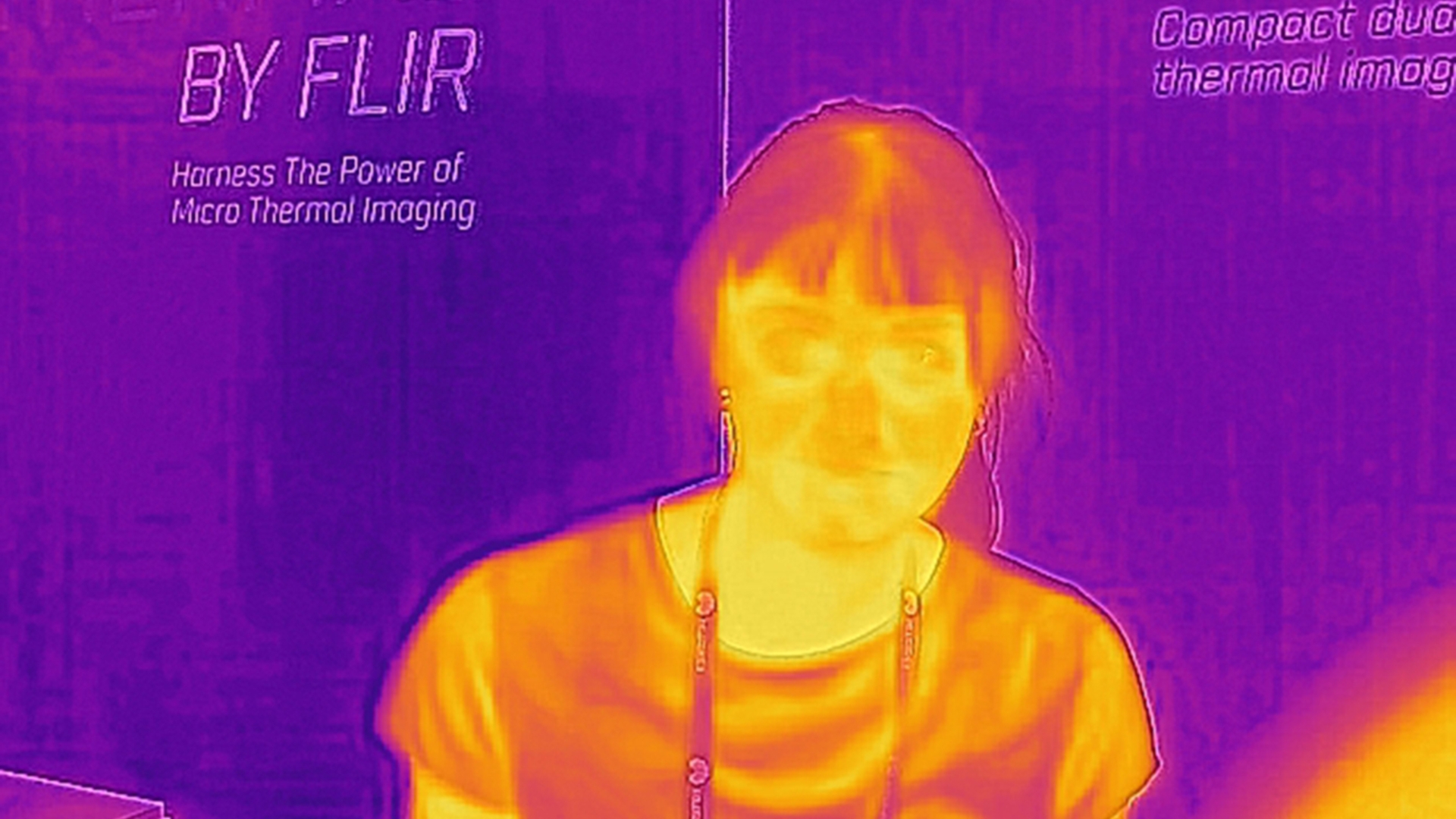 FLIR Wärmebild