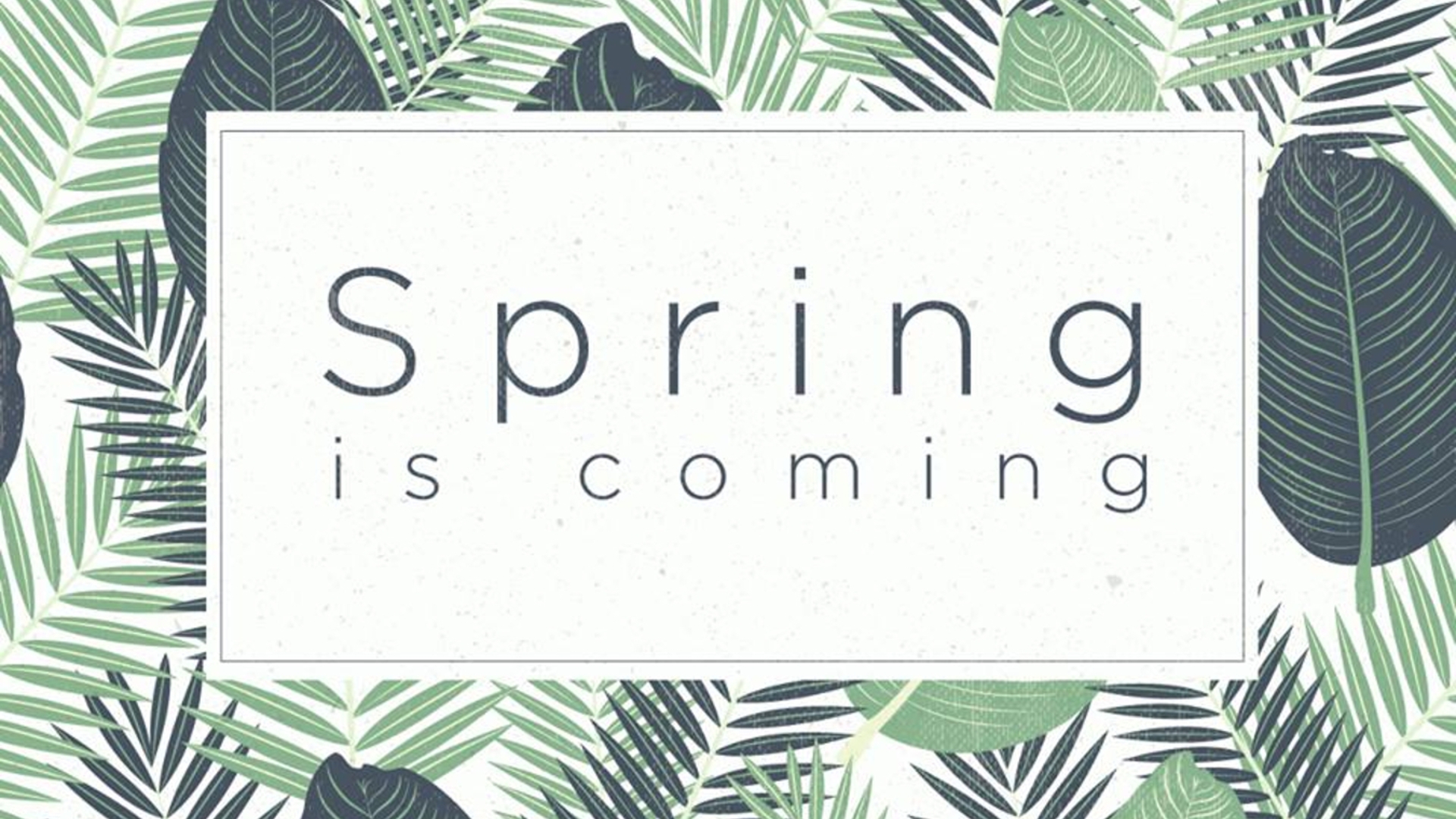 htc teaser spring is coming facebook