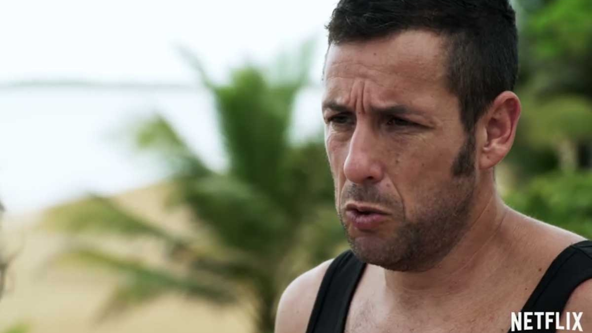 Adam Sandler Netflix Adam Sandler Netflix