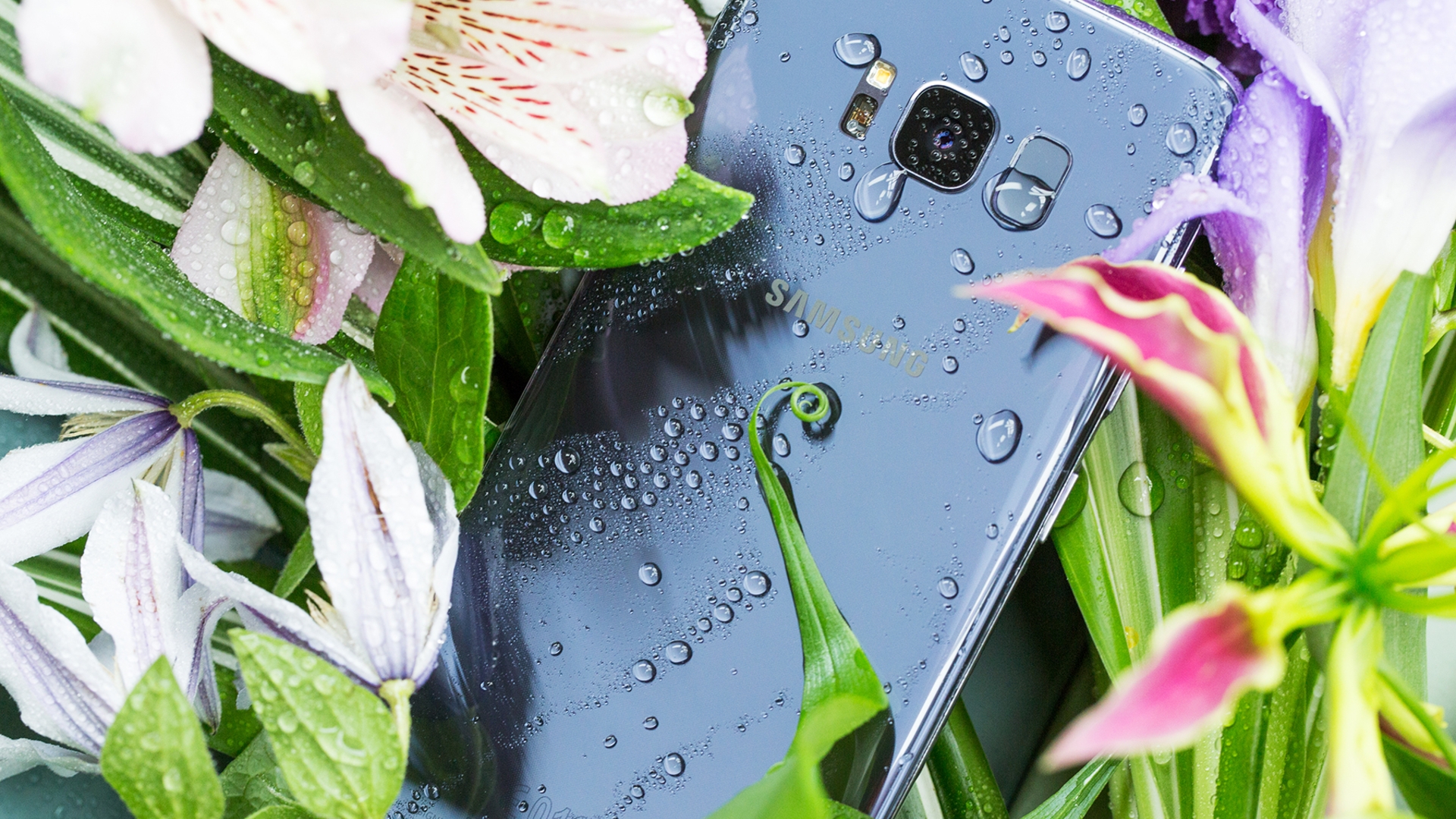 Samsung Galaxy S8 Samsung Galaxy S8