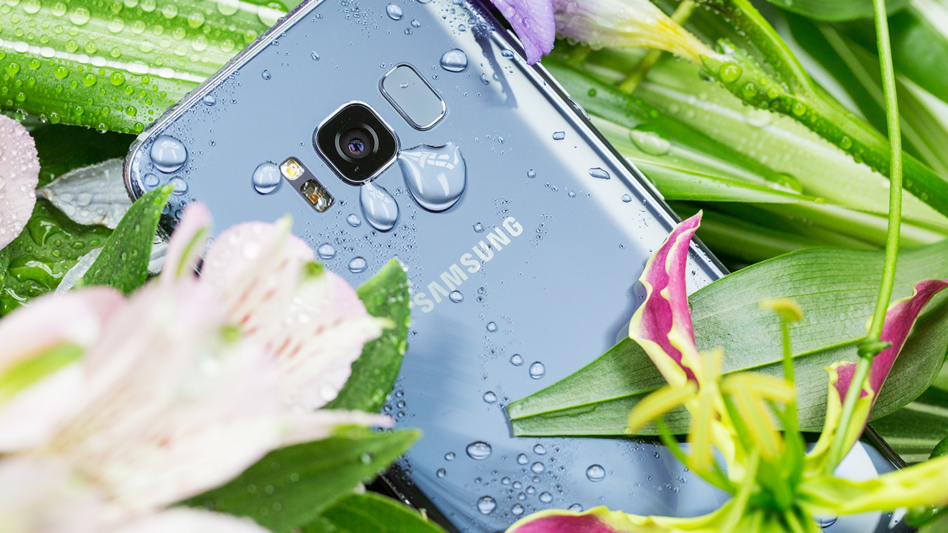 Samsung Galaxy S8 Samsung Galaxy S8