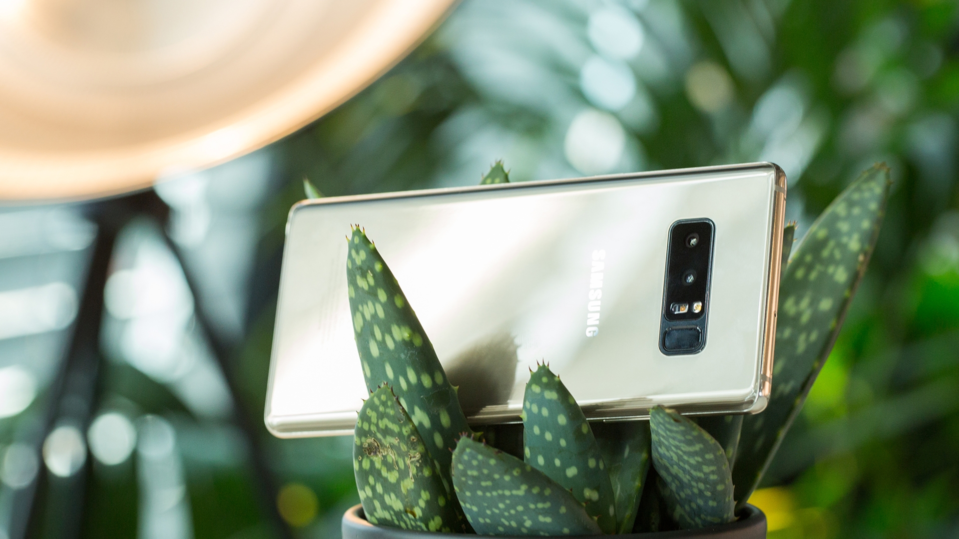 Samsung Galaxy Note 8 Samsung Galaxy Note 8