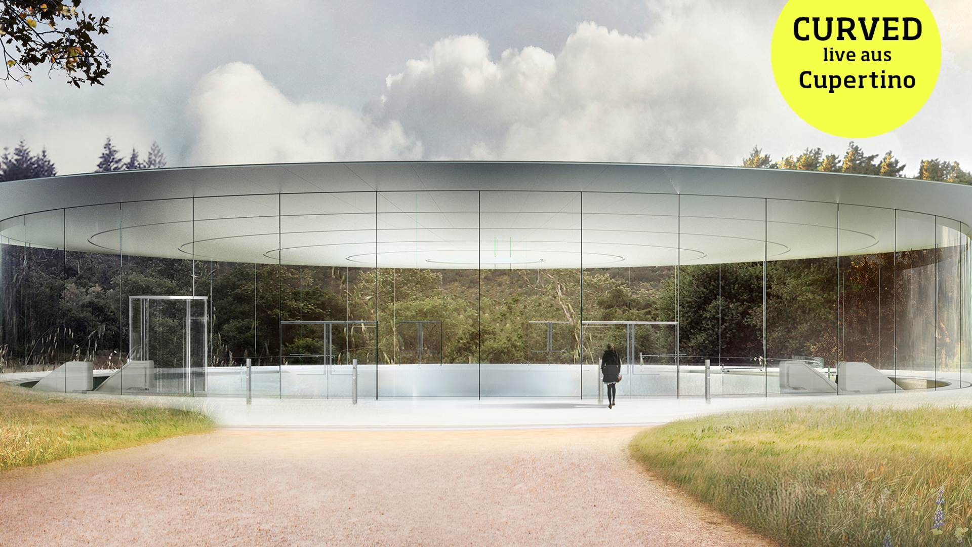 Apple Park Steve Jobs Theatre rundes Gebäude mit großen Glasfenstern