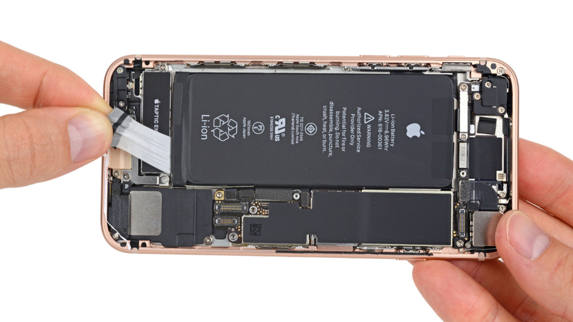 iPhone 8 Teardown iFixit