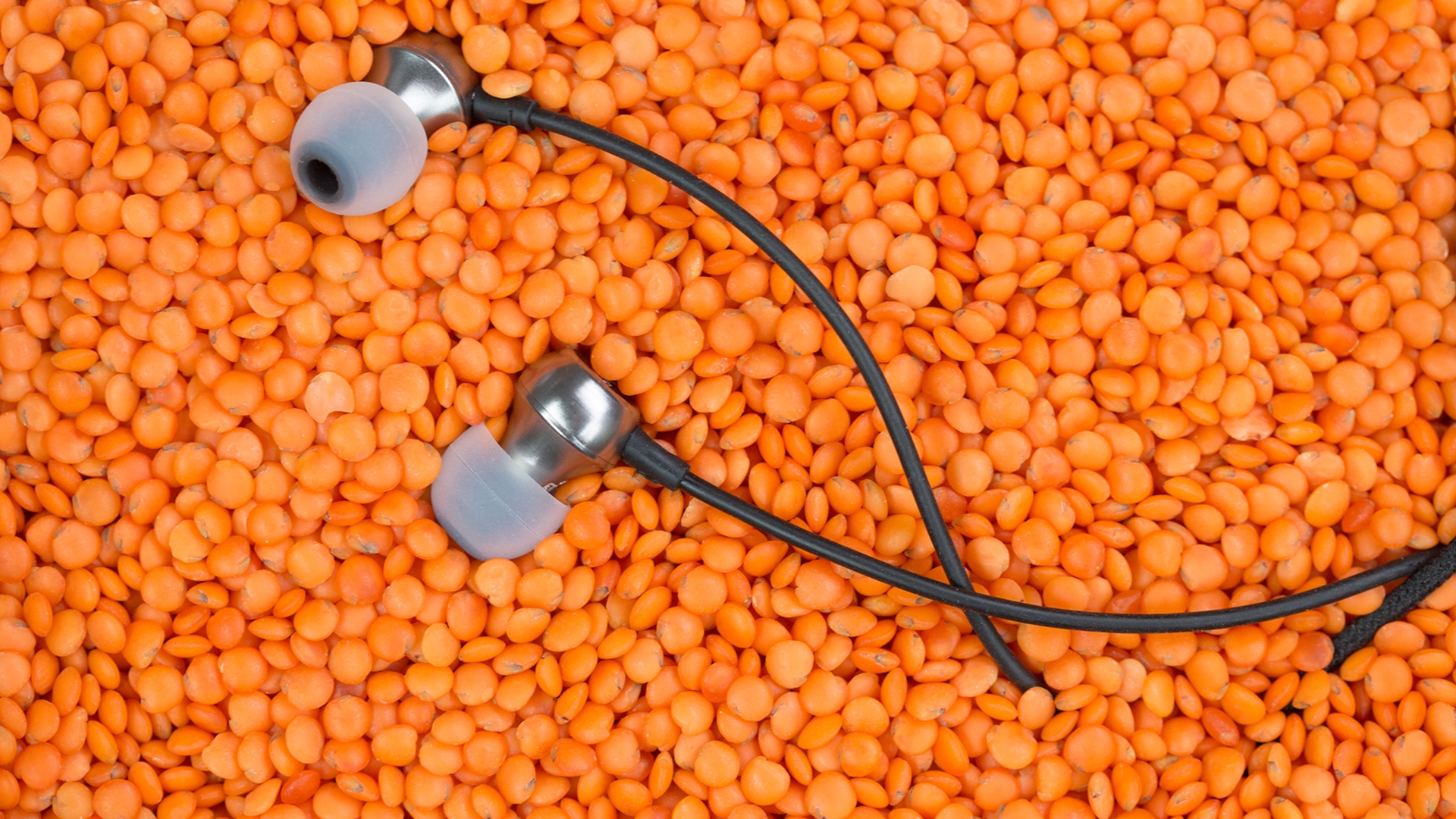 RHA MA390 Universal RHA MA390 Universal