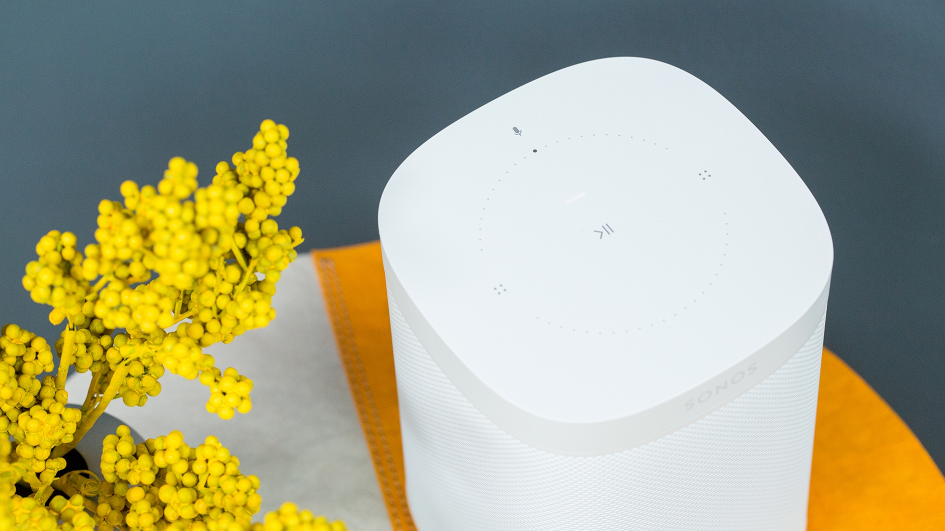 Sonos One Sonos One