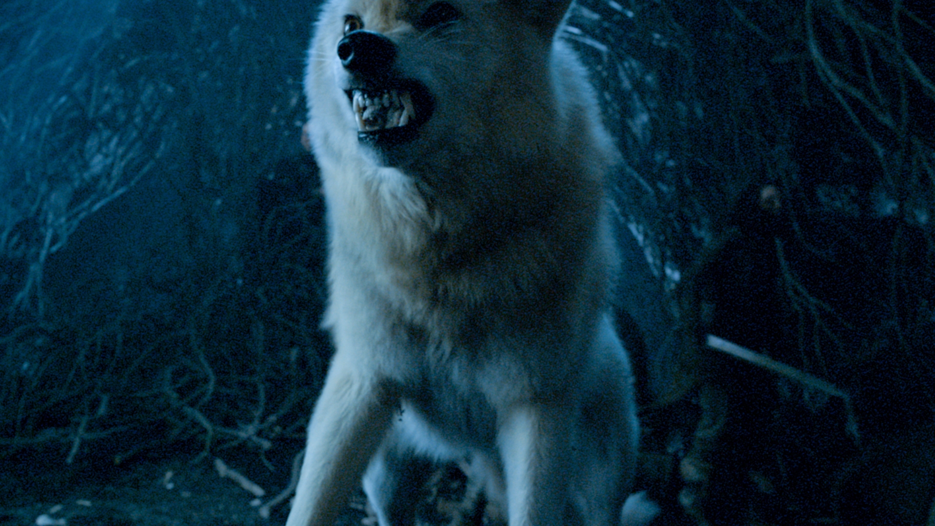 Game of Thrones St. 6 Game of Thrones St. 6