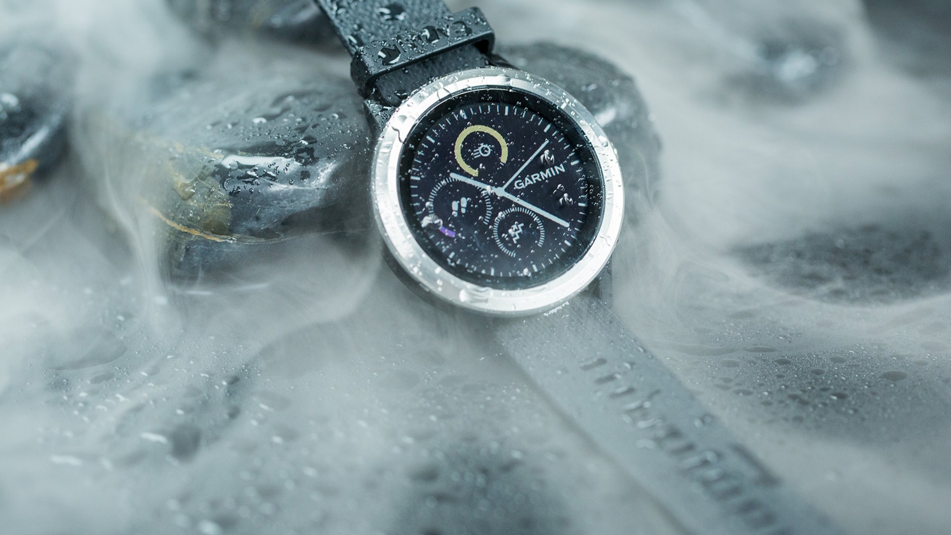 Garmin Vivoactive 3 Garmin Vivoactive 3