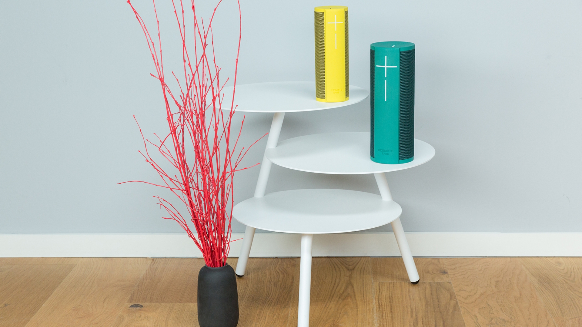 Ulimate Ears Blast und Megablast Ulimate Ears Blast und Megablast