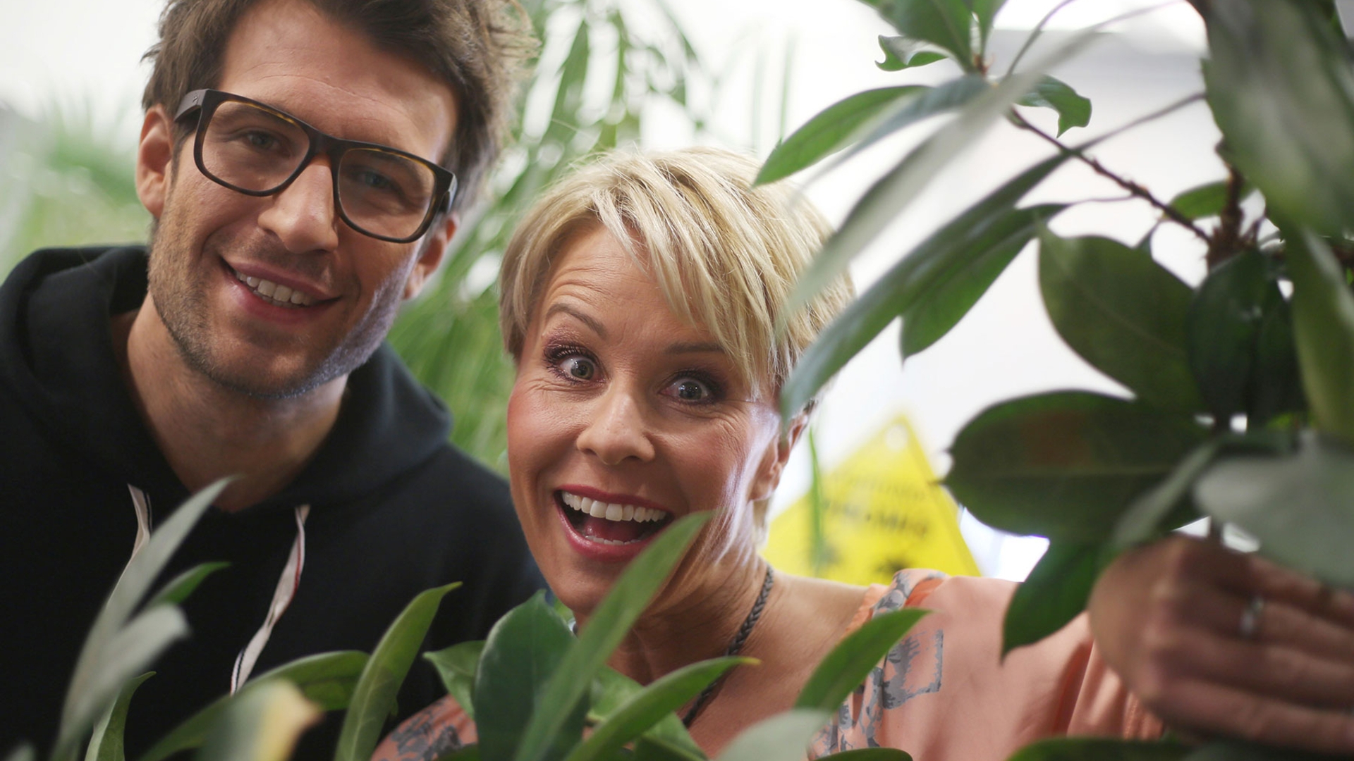 RTL-Dschungelcamp - Sonja Zietlow und Daniel Hartwich RTL-Dschungelcamp - Sonja Zietlow und Daniel Hartwich