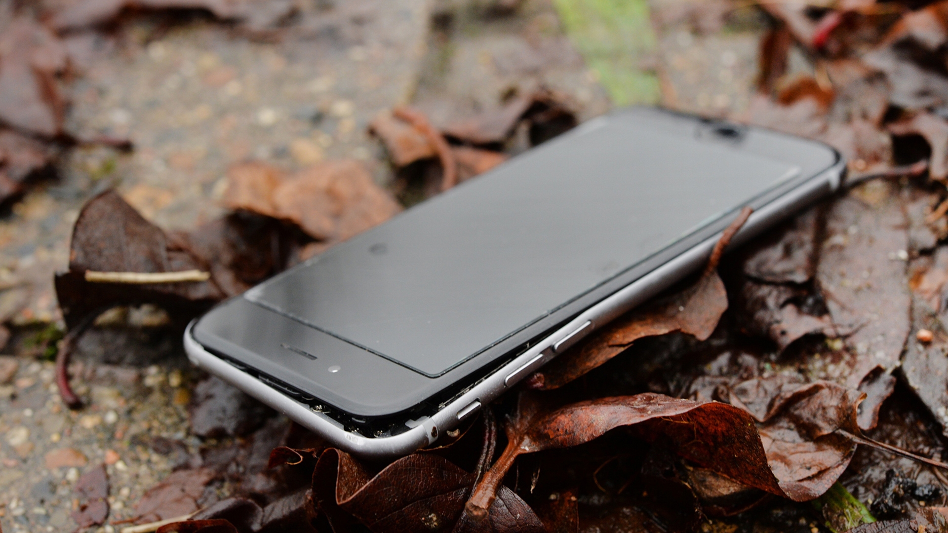 iPhone 6, kaputt, Schaden iPhone 6, kaputt, Schaden