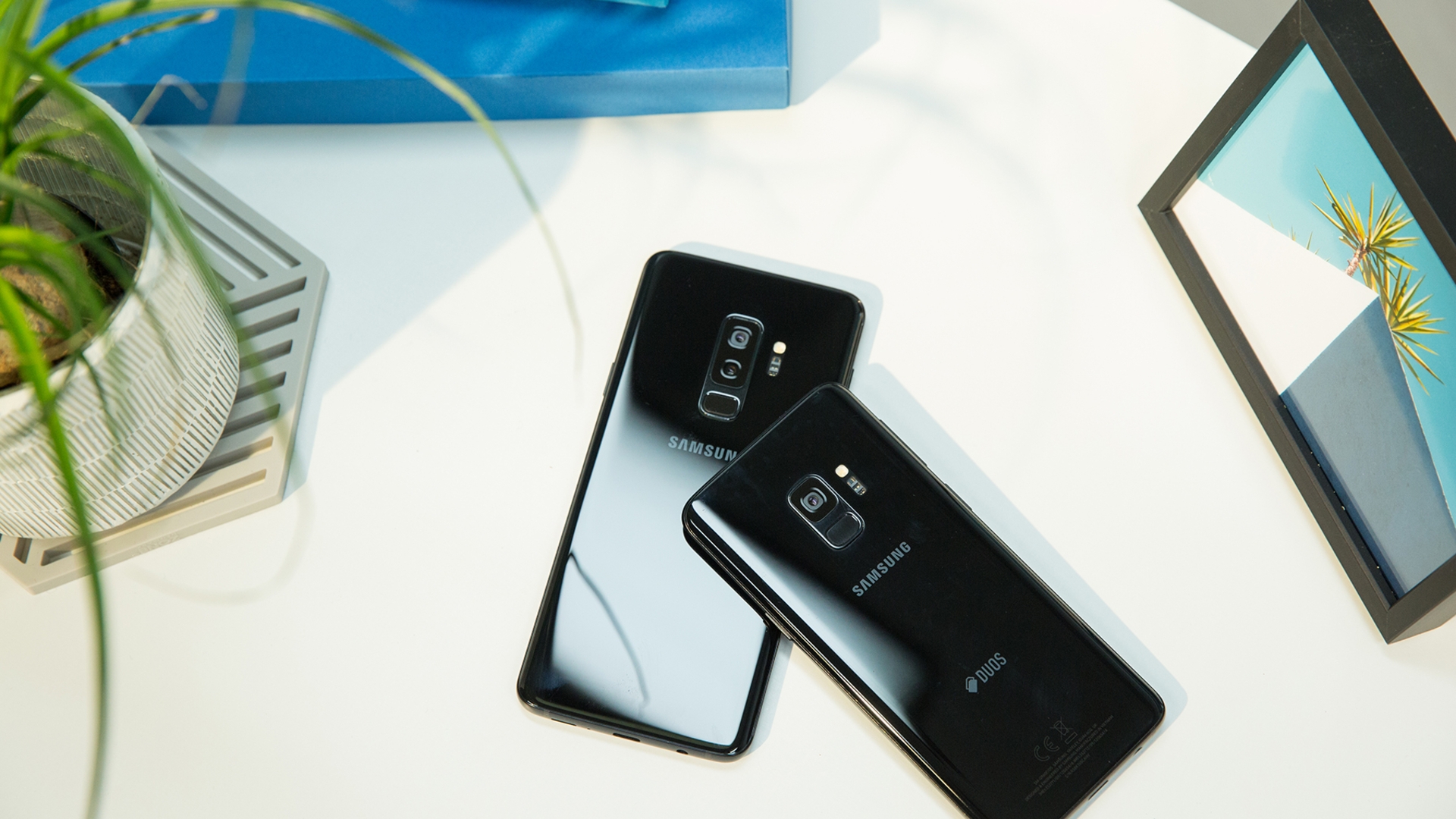 Samsung Galaxy S9 und S9 Plus