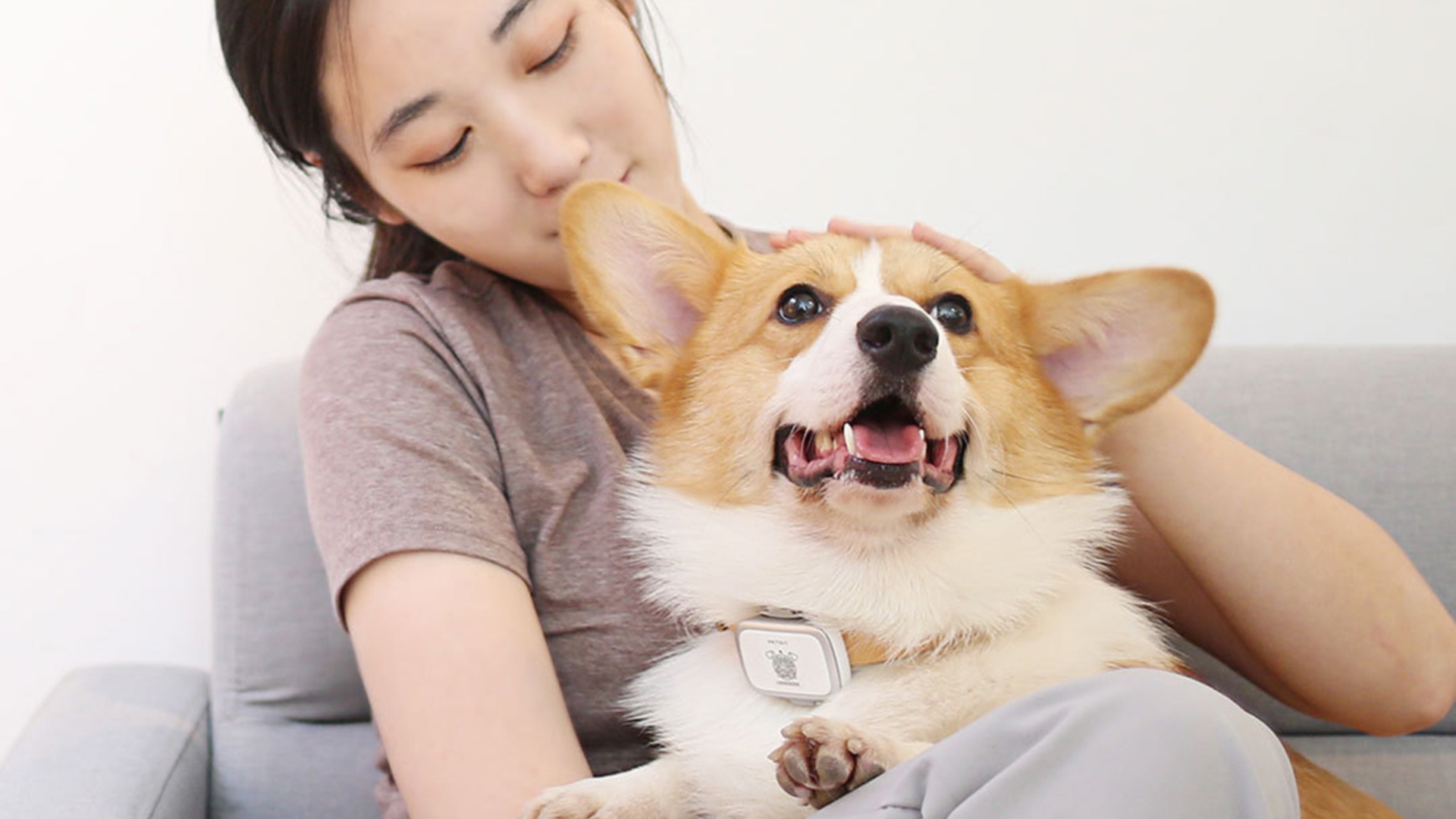 Xiaomi Petbit Fitness-Tracker Wearable Xiaomi Petbit Fitness-Tracker Wearable