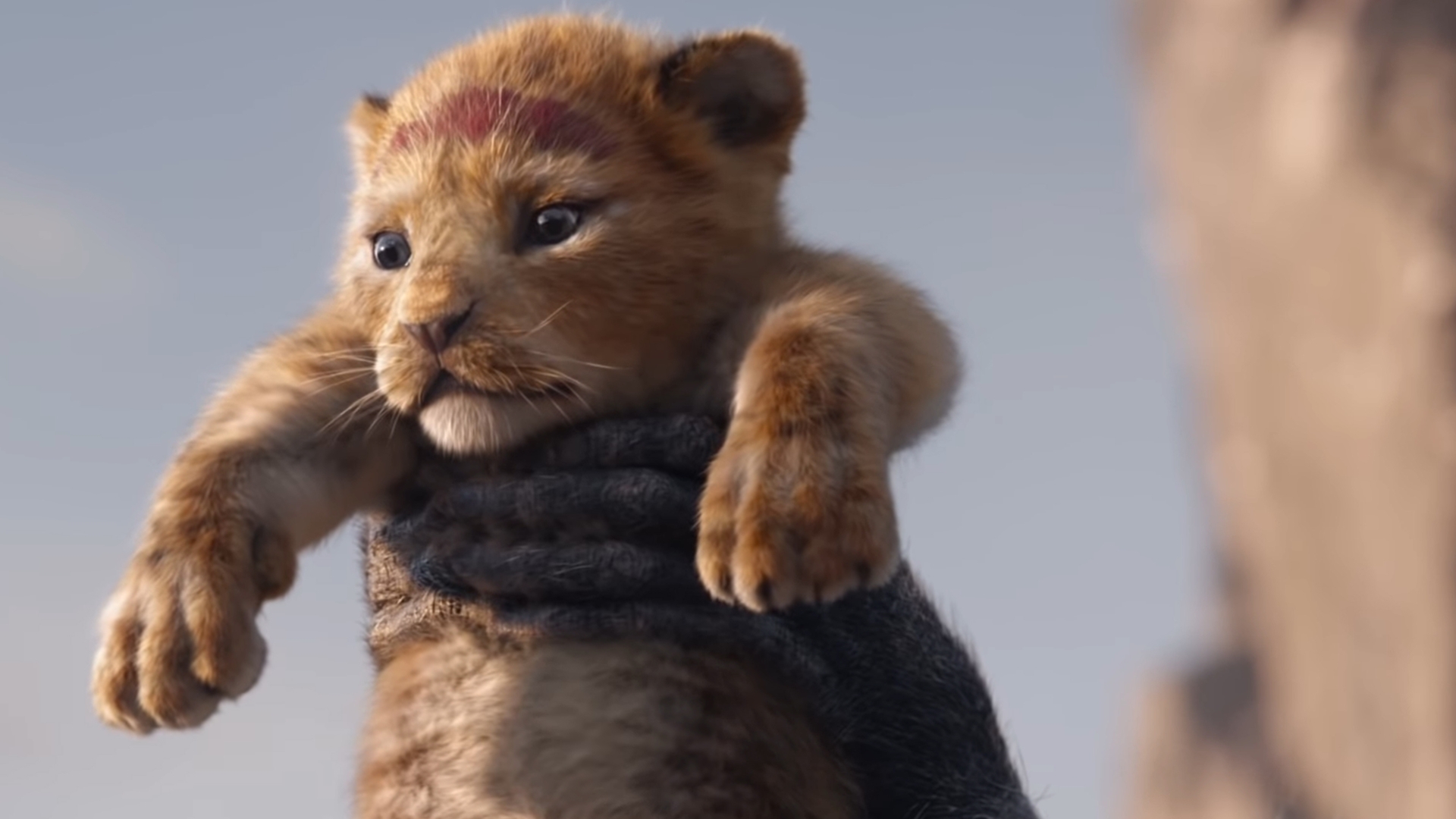 König-der-Löwen-Walt-Disney-Studios-YouTube König-der-Löwen-Walt-Disney-Studios-YouTube